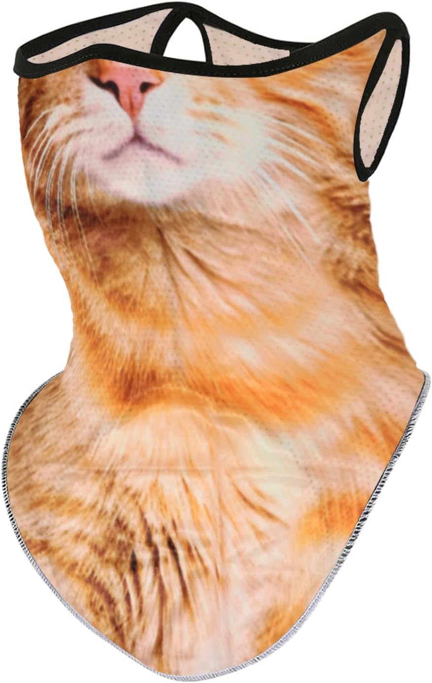 1 Pack Cute Orange Tabby Energy — WeirdThingsToBuy weird find