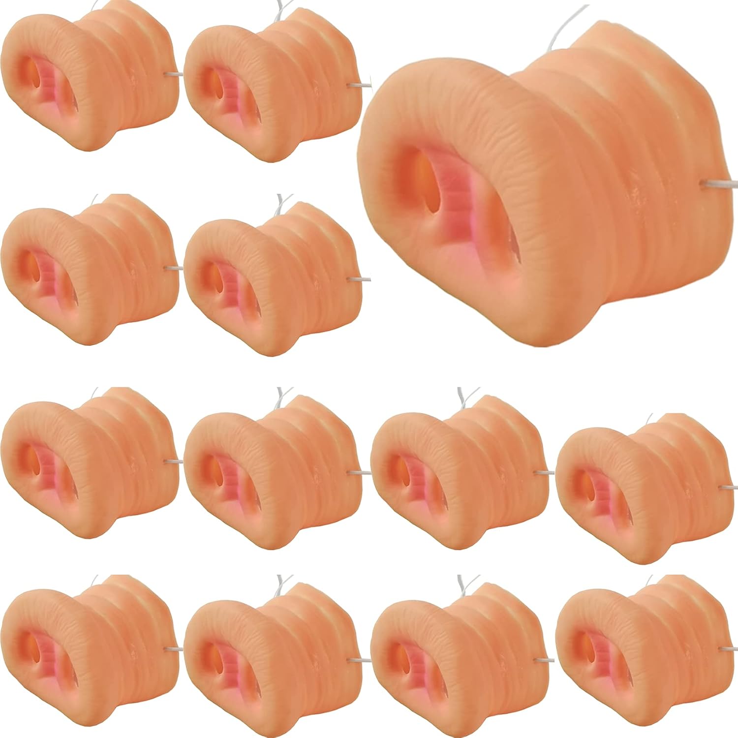 14pcs Pig Nose Pig Snout Energy — WeirdThingsToBuy weird find