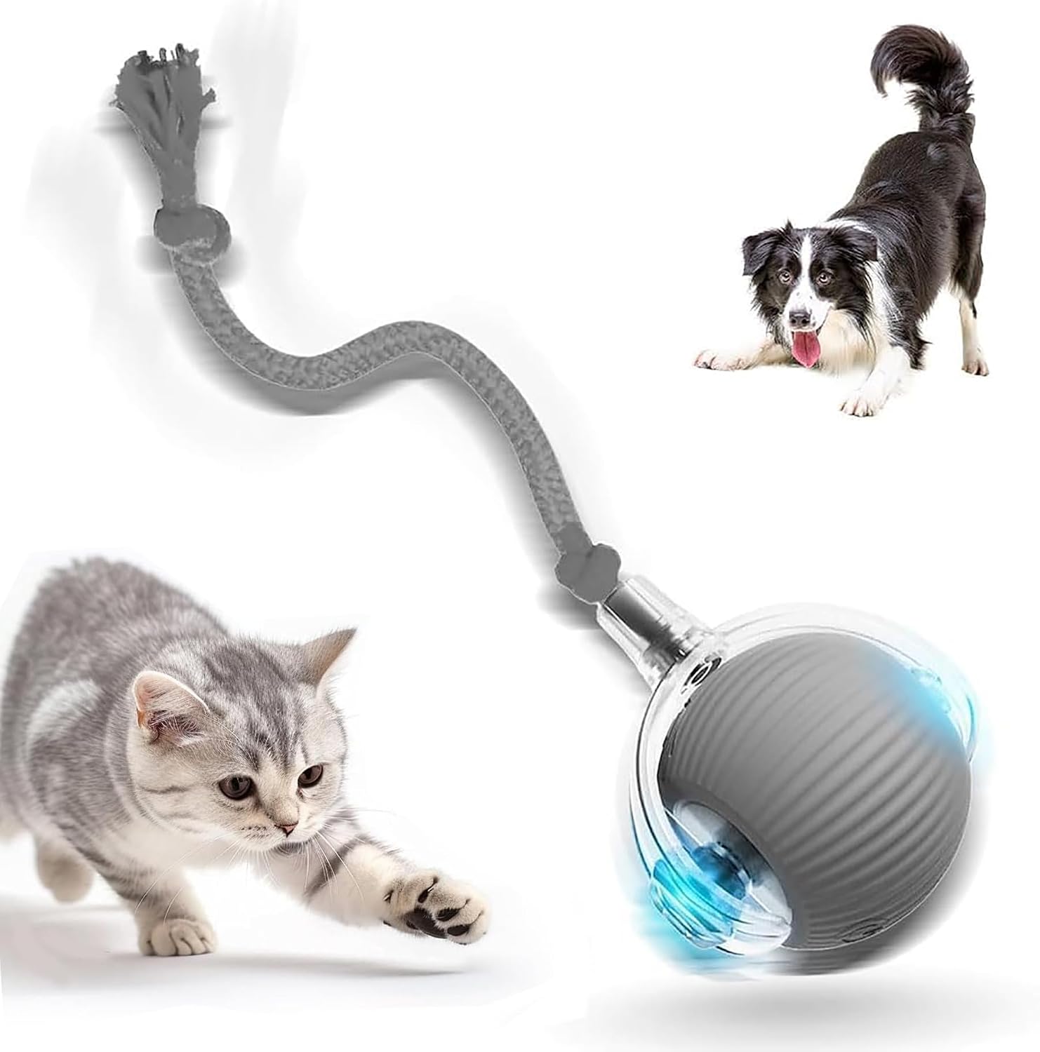 2026 New Interactive Cat Toys — WeirdThingsToBuy weird find