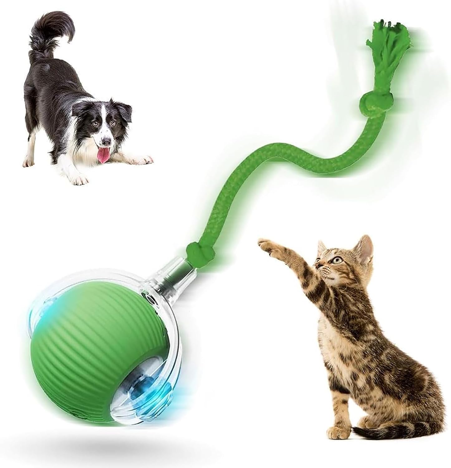 2026 New Self Rolling Dog — WeirdThingsToBuy weird find