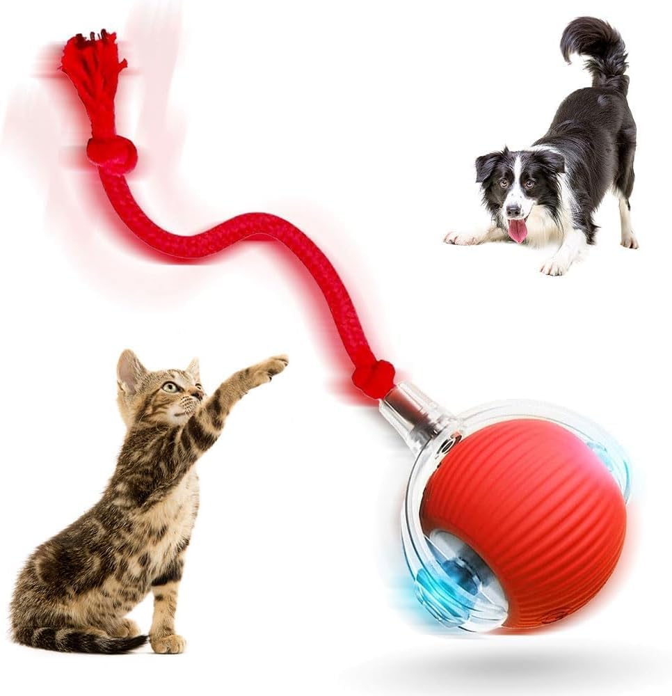 Aulctr Upgrade Interactive Cat Toys — WeirdThingsToBuy weird find