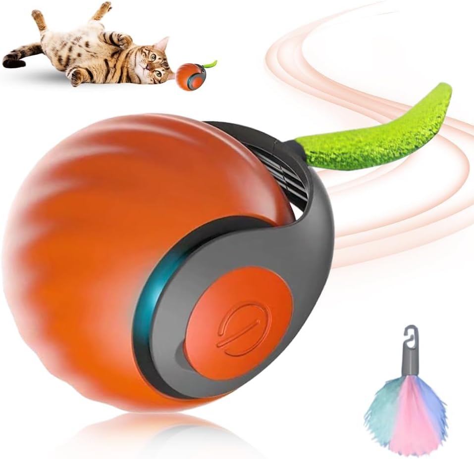 Aulctr Upgrade Speedy 3 0 — WeirdThingsToBuy weird find