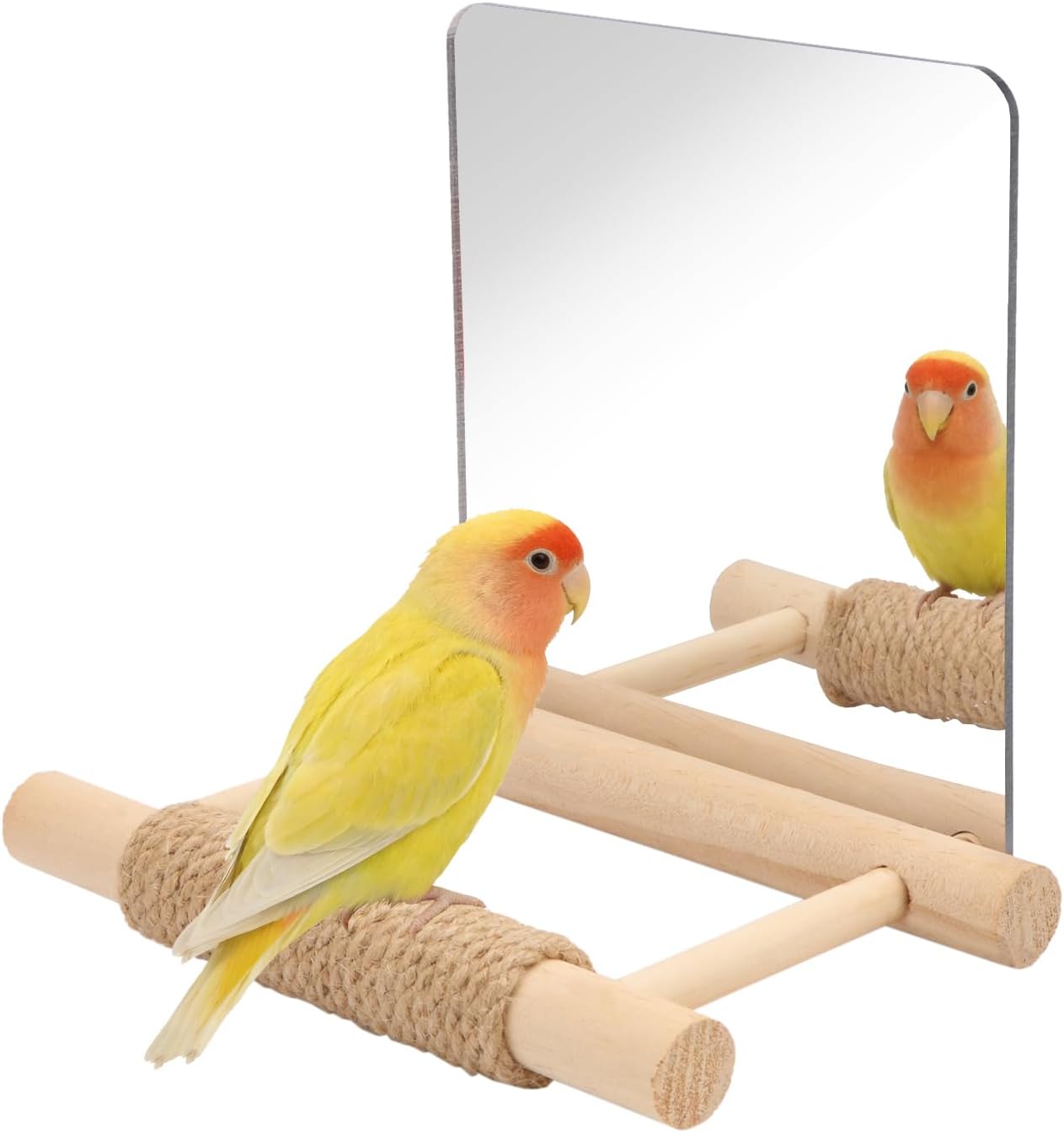 Bird Perching Stand — WeirdThingsToBuy weird find
