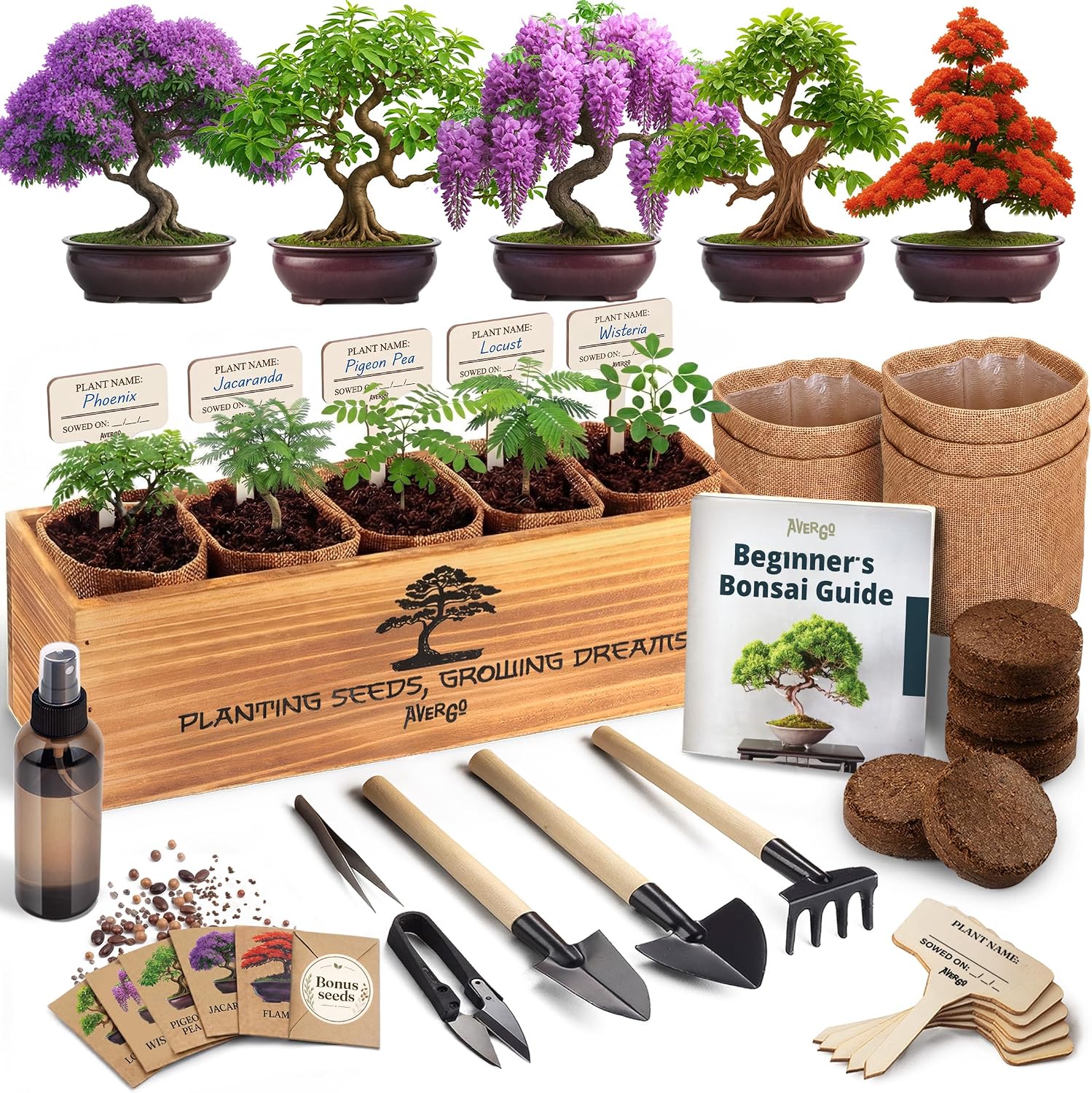 Bonsai Tree Kit Classic Situation — WeirdThingsToBuy weird find