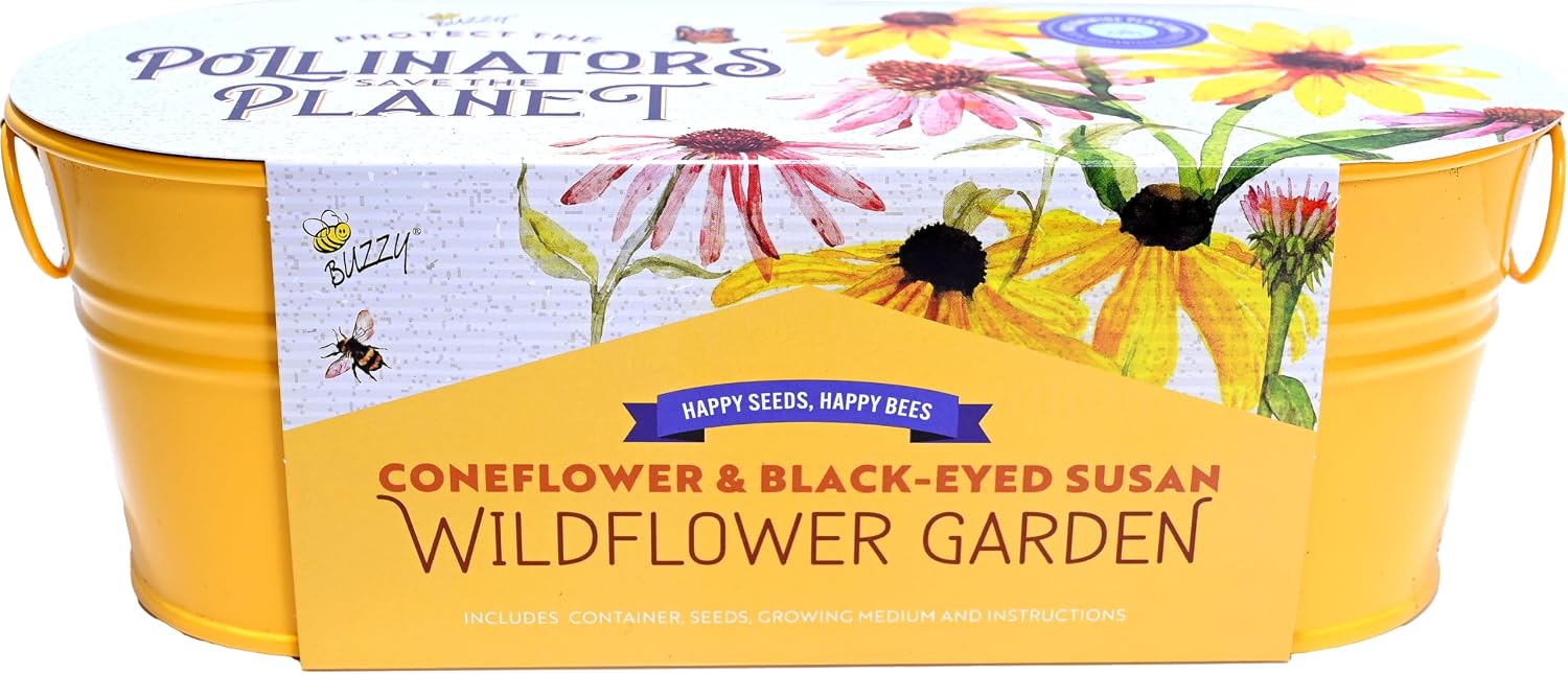 Buzzy Seeds Coneflower Black — WeirdThingsToBuy weird find