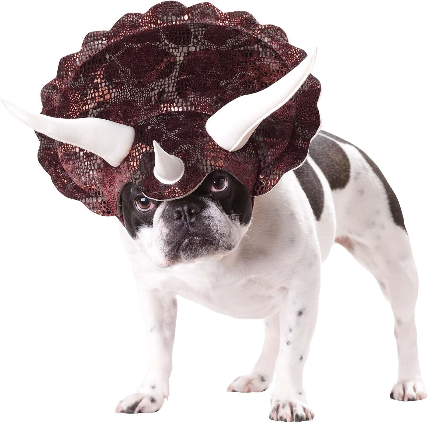 California Costumes Triceradog Dog Costume Energy — WeirdThingsToBuy weird find