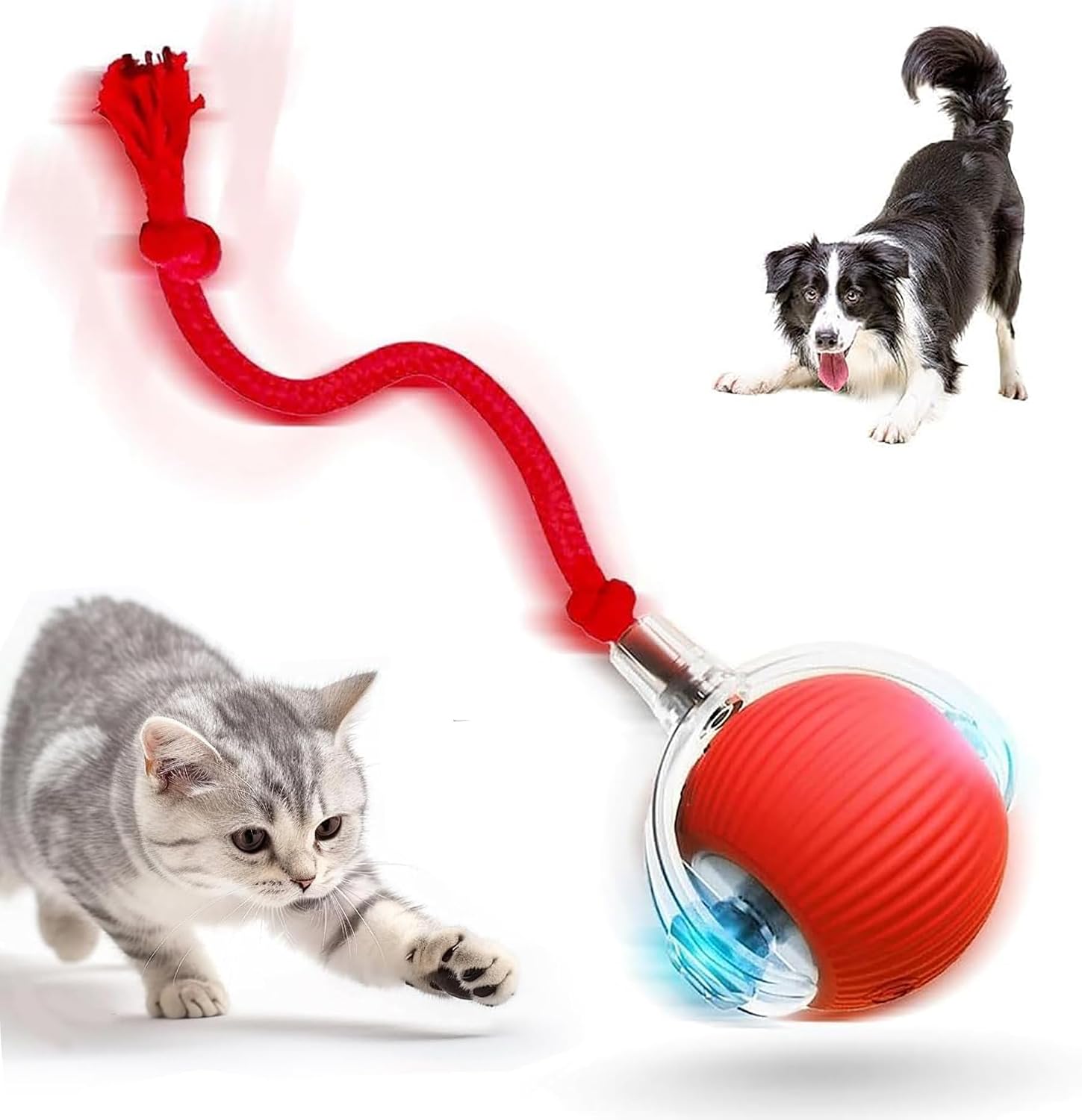 Certified 2026 New Interactive Cat Toys — WeirdThingsToBuy weird find