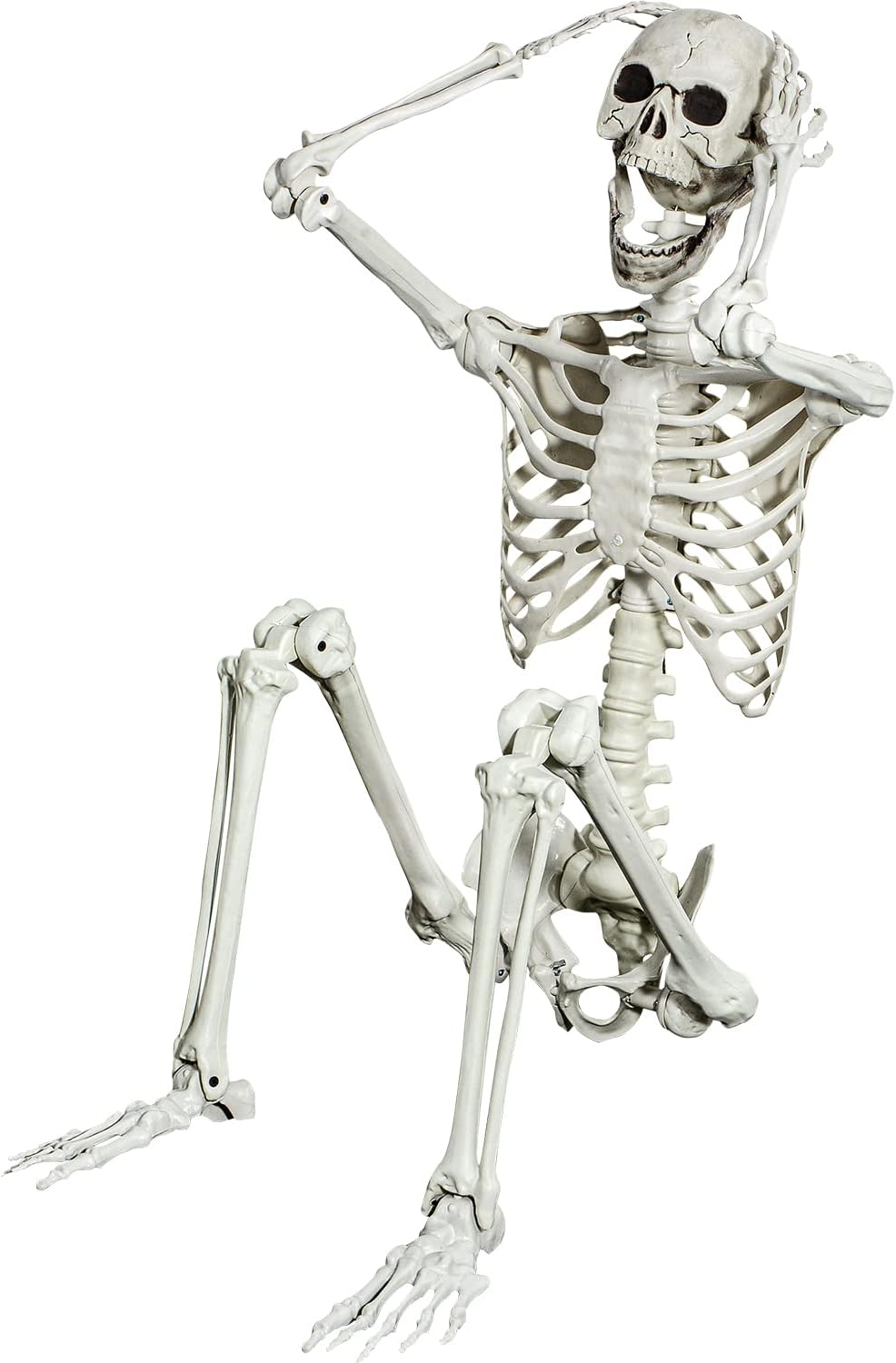 Certified 5 4ft Posable Halloween Skeleton — WeirdThingsToBuy weird find