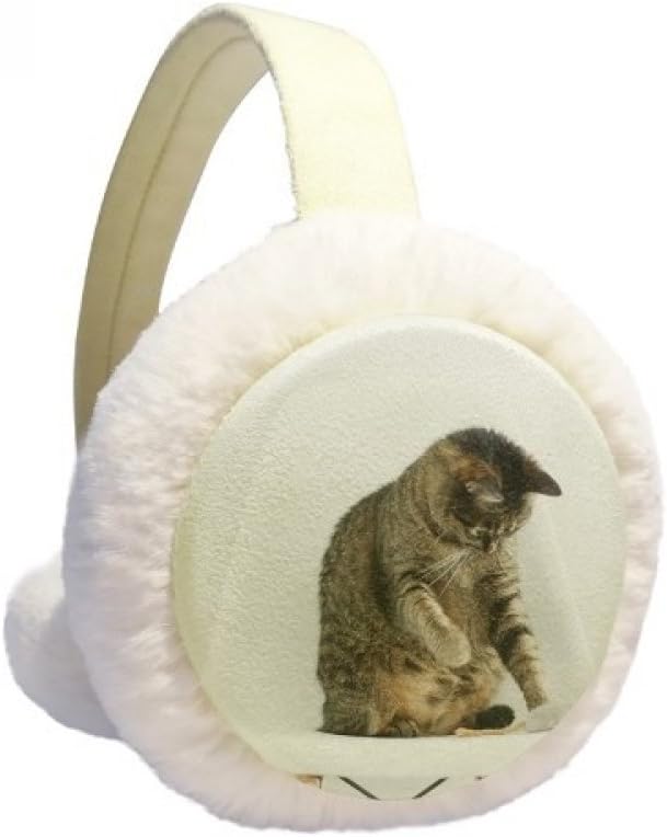 Certified Animal Funny Action Cat Shoot — WeirdThingsToBuy weird find