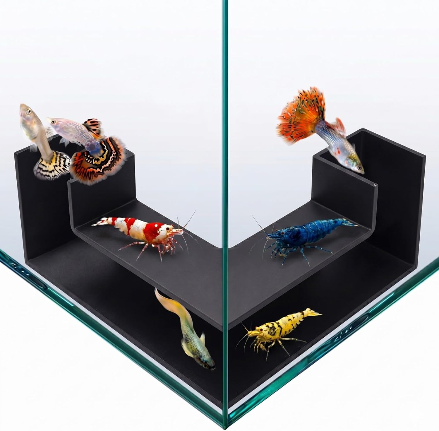 Certified Aquarium Underground Tunnel 5 Dual — WeirdThingsToBuy weird find