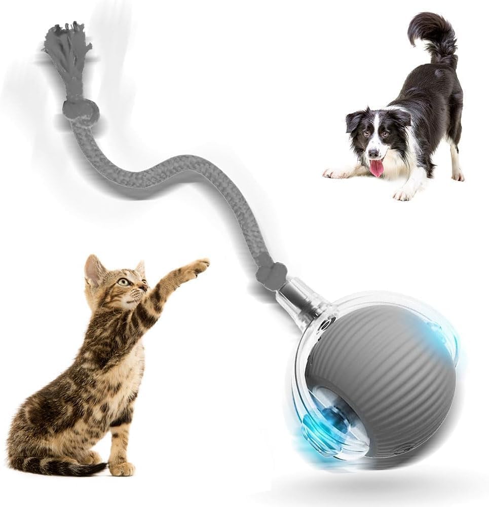 Certified Aulctr Upgrade Interactive Cat Toys — WeirdThingsToBuy weird find
