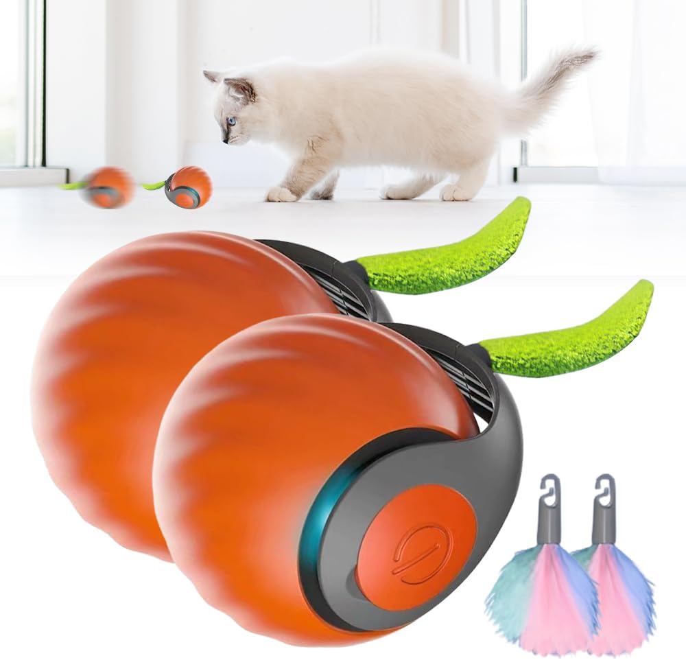 Certified Aulctr Upgrade Speedy 3 0 — WeirdThingsToBuy weird find