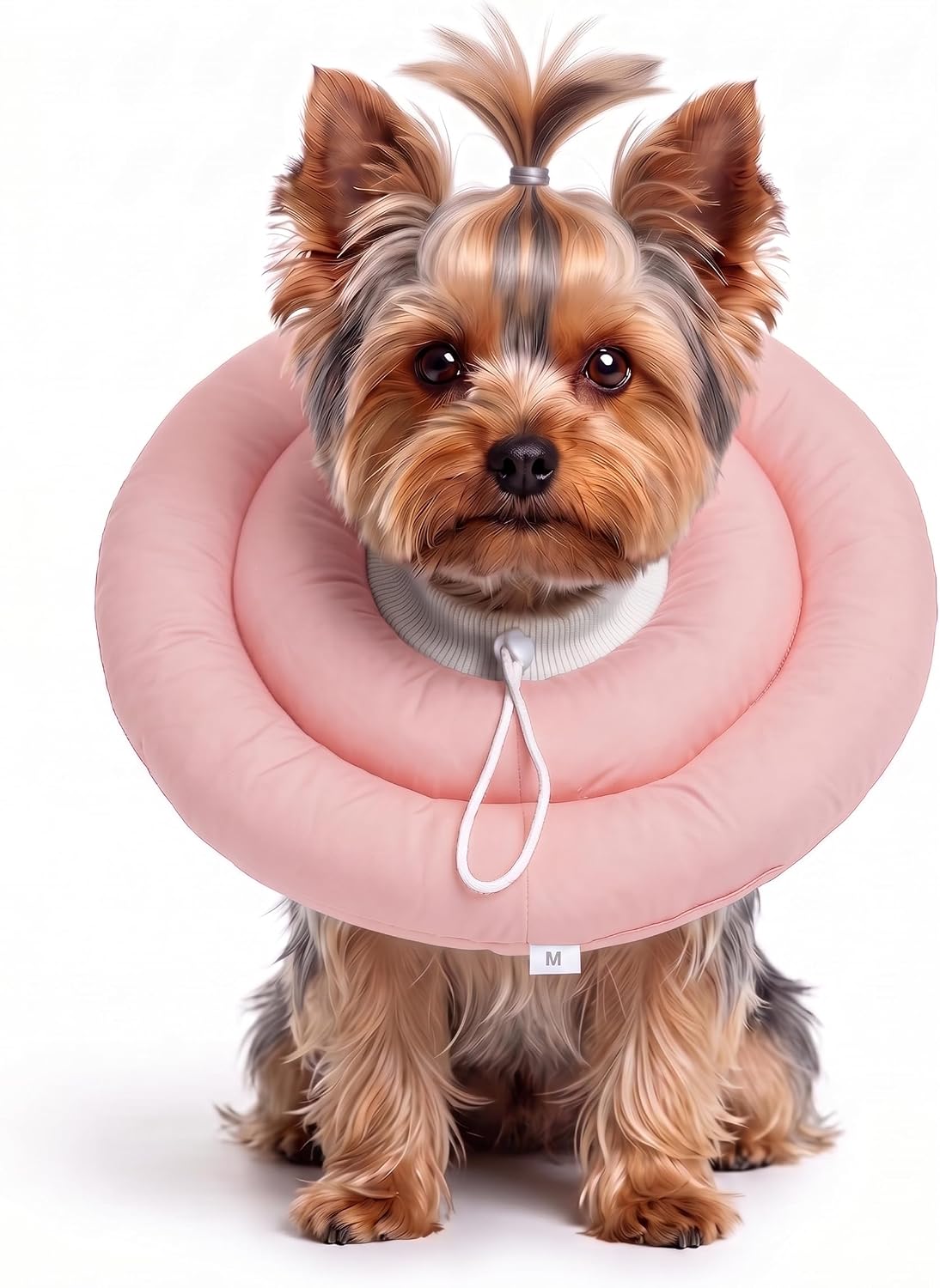 Certified Bardimies Soft Dog Cones Recovery — WeirdThingsToBuy weird find