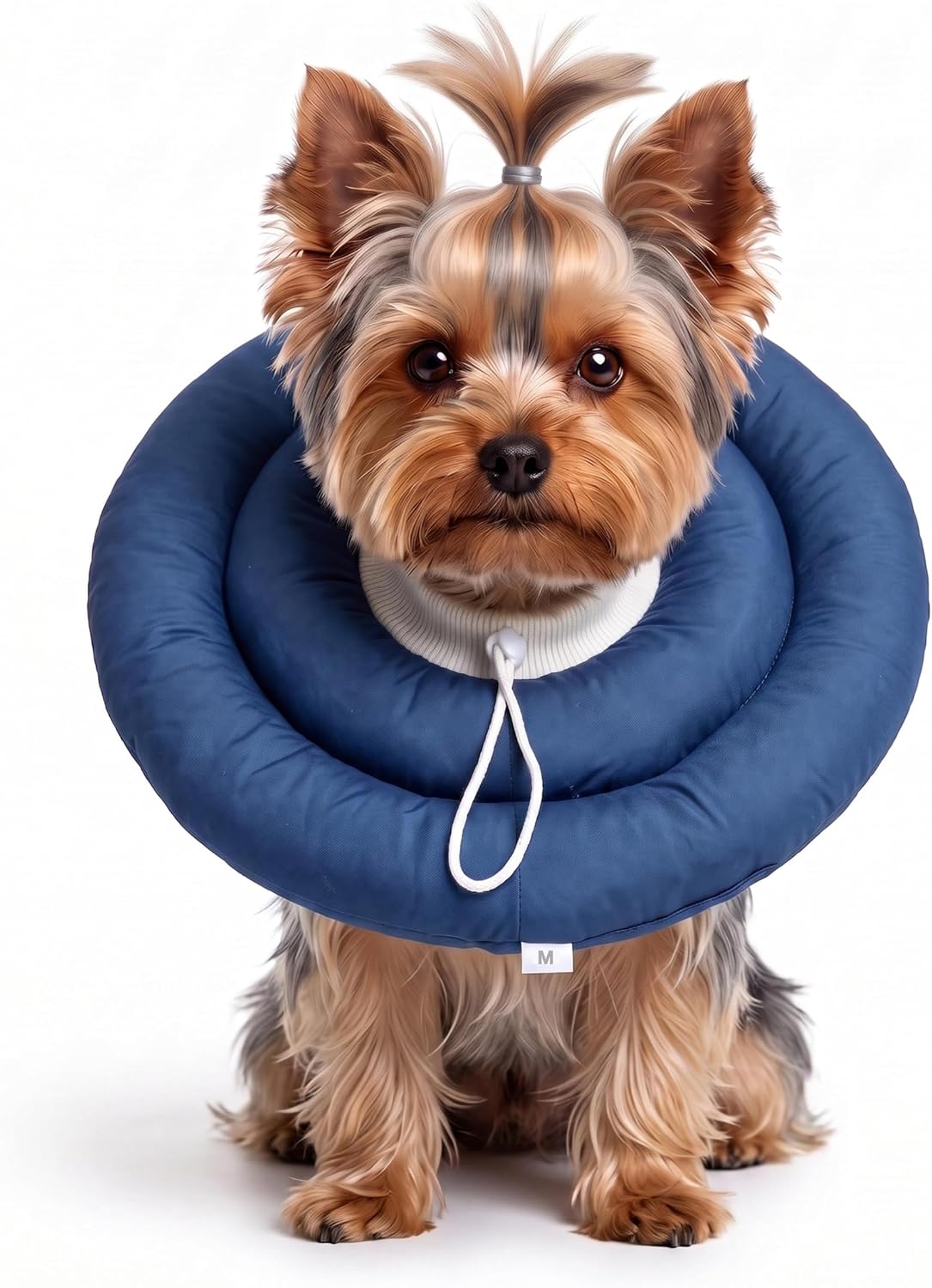 Certified Bardimies Soft Dog Cones Recovery — WeirdThingsToBuy weird find