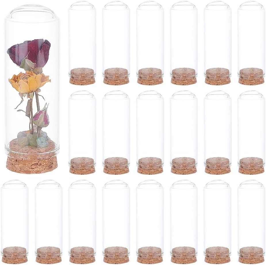 Certified Benecreat 20pcs Dome Decorative Jars — WeirdThingsToBuy weird find