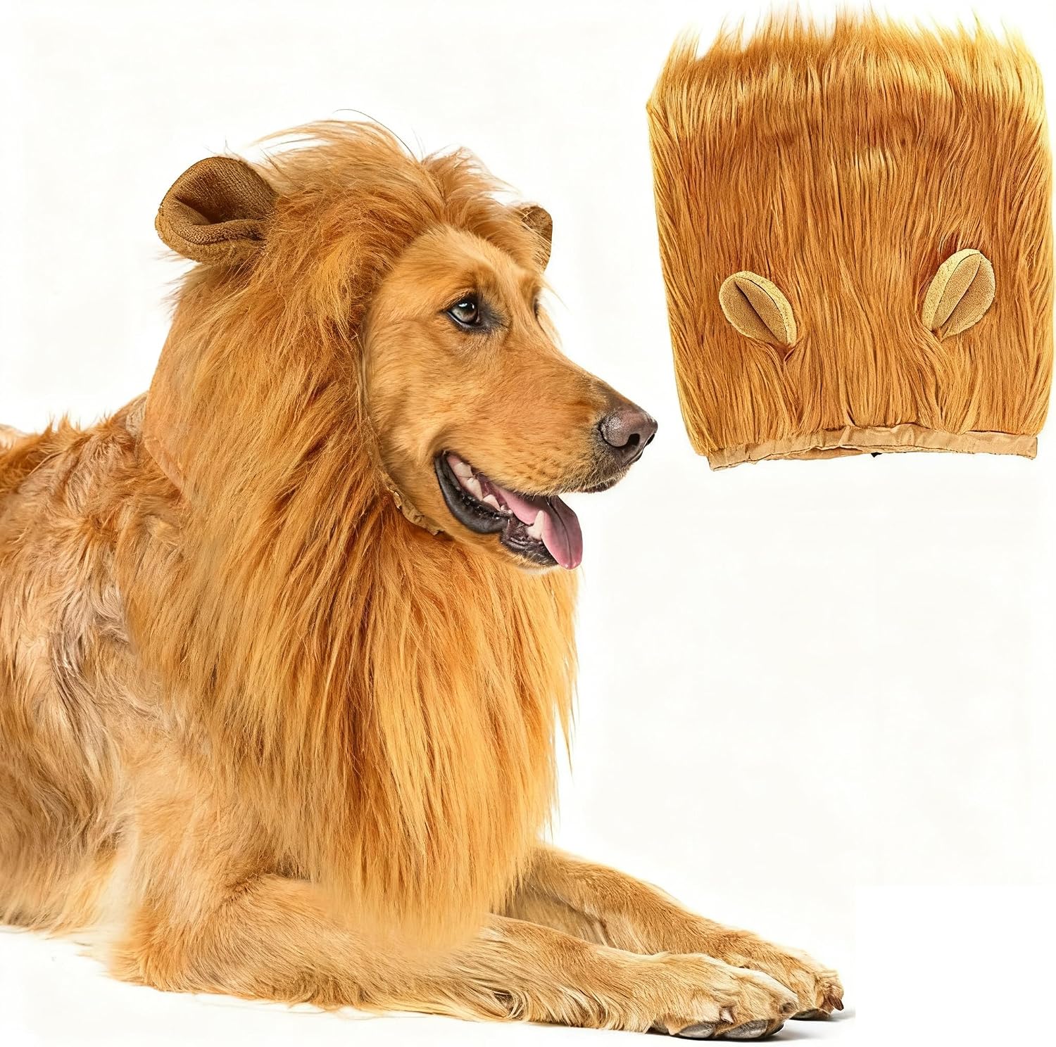 Certified Dog Halloween Costumes Funny Dog — WeirdThingsToBuy weird find