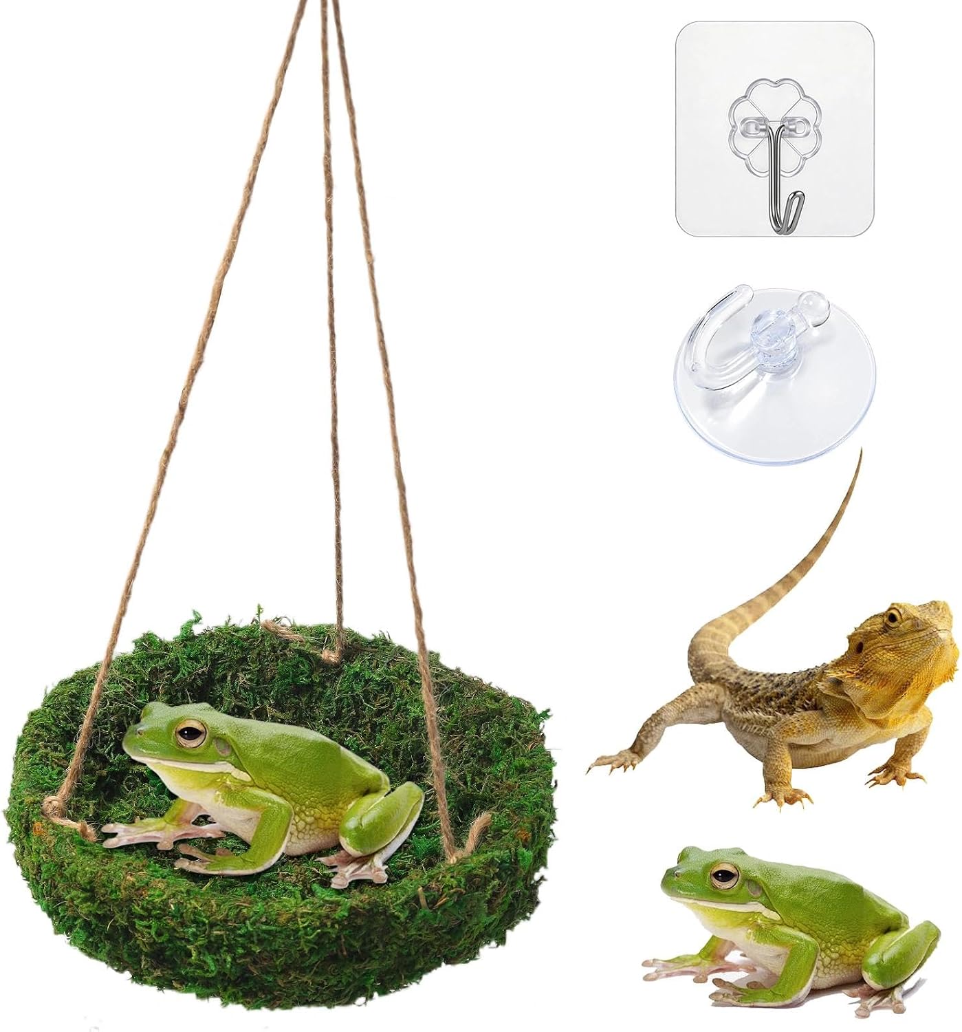 Certified Hollima Frog Reptiles Cave Hide — WeirdThingsToBuy weird find