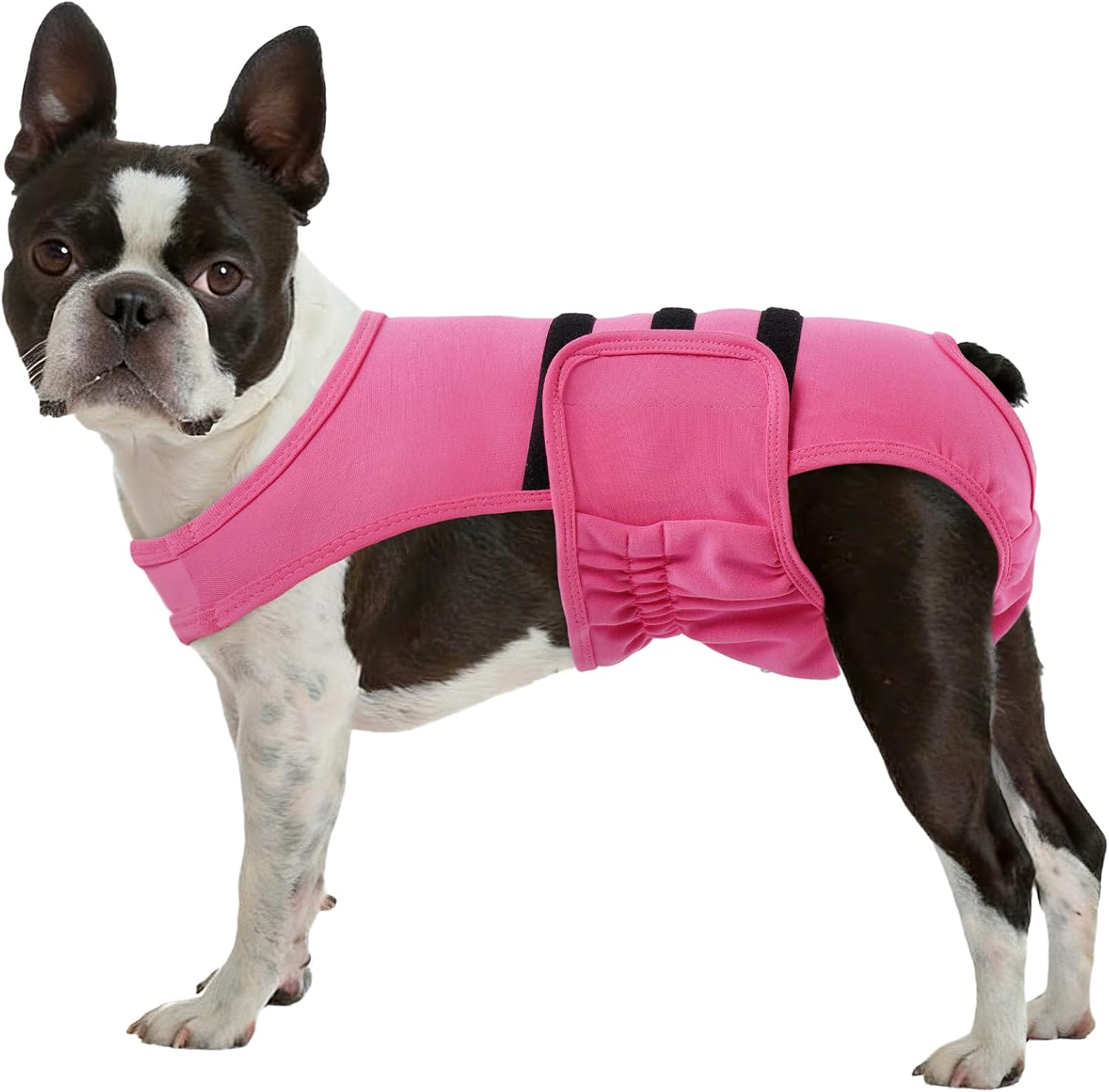 Certified Lelepet Female Dog Diapers Heat — WeirdThingsToBuy weird find