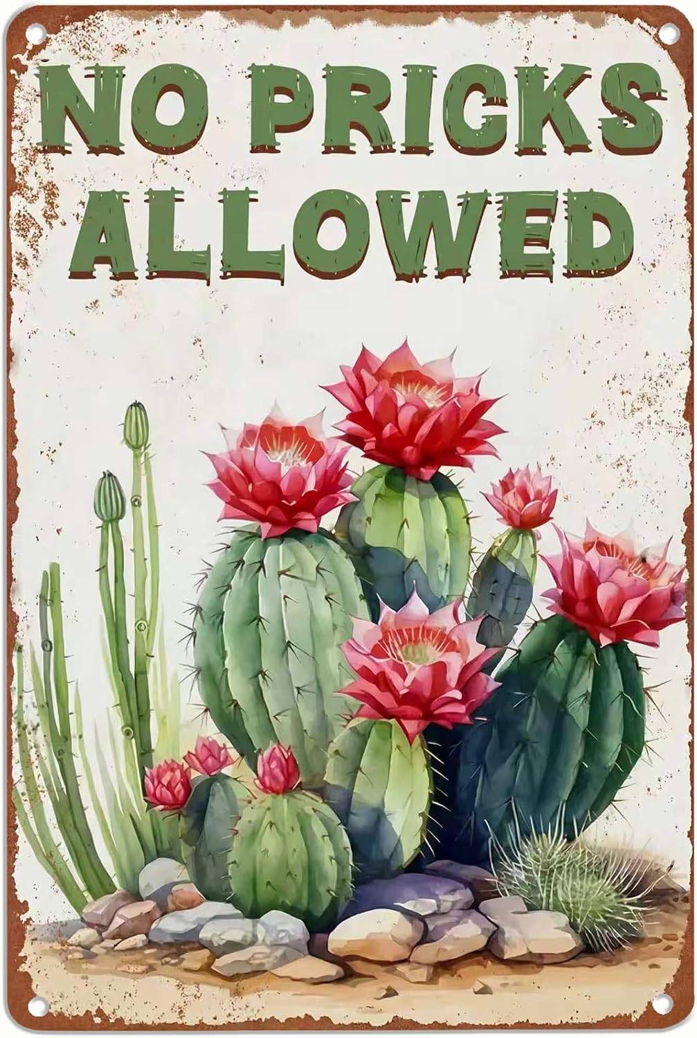 Certified no Pricks Allowed Cactus Metal — WeirdThingsToBuy weird find
