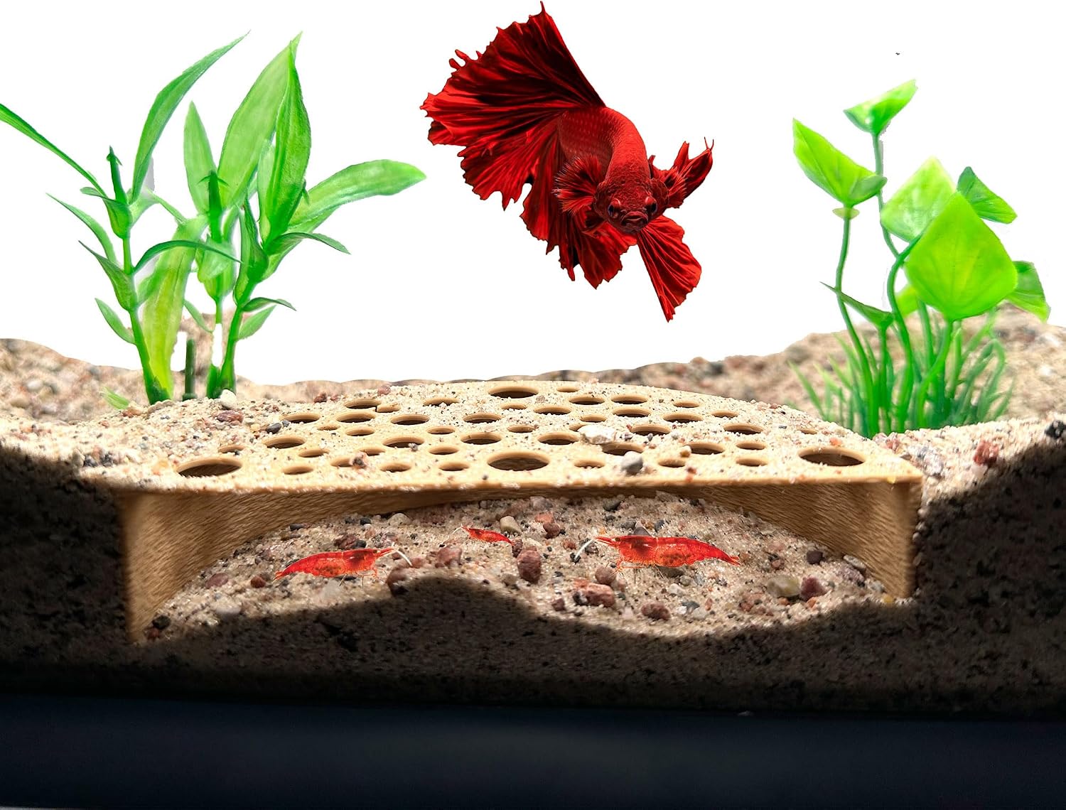 Certified Shrimp Breeding Protector Shrimp Hide — WeirdThingsToBuy weird find
