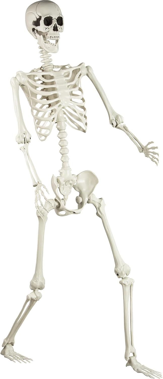 Certified Sunreek 5 4 ft Posable — WeirdThingsToBuy weird find