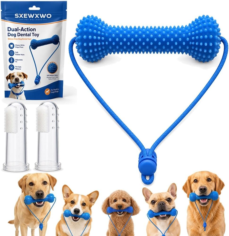 Certified Sxewxwo Dual — WeirdThingsToBuy weird find