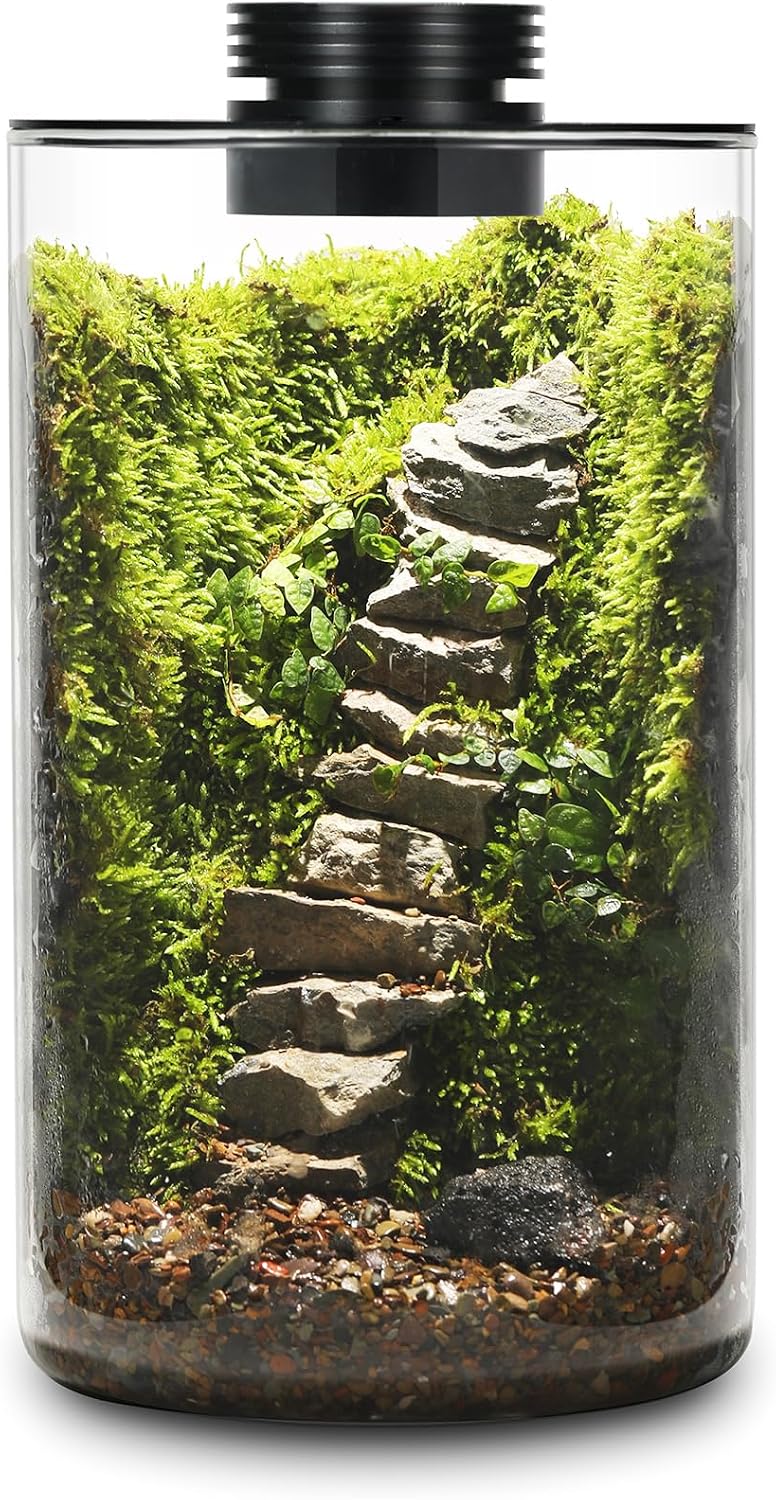 Desktop Glass Plant Terrarium Grow Situation — WeirdThingsToBuy weird find