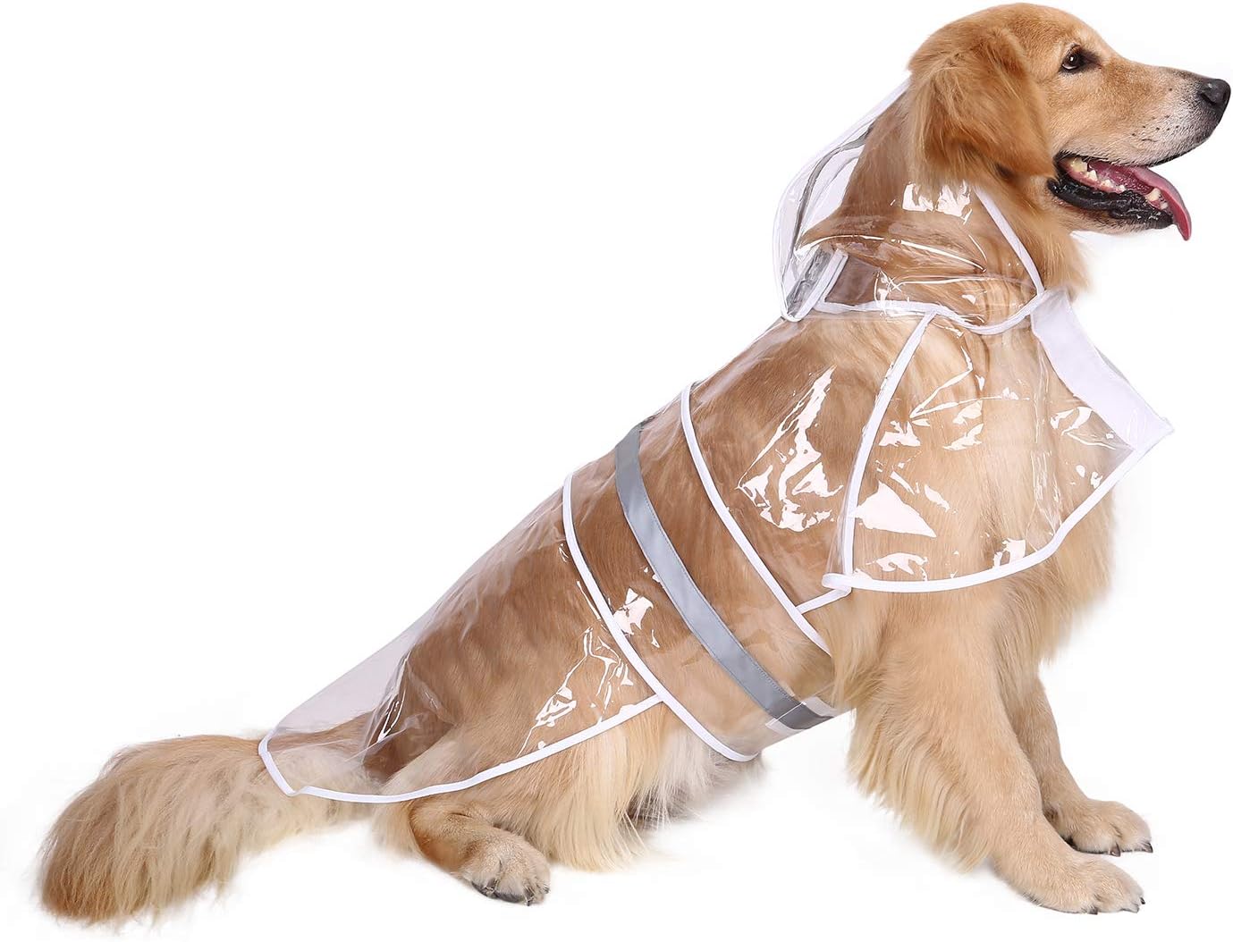 Transparent Dog Raincoat Couture — WeirdThingsToBuy weird find