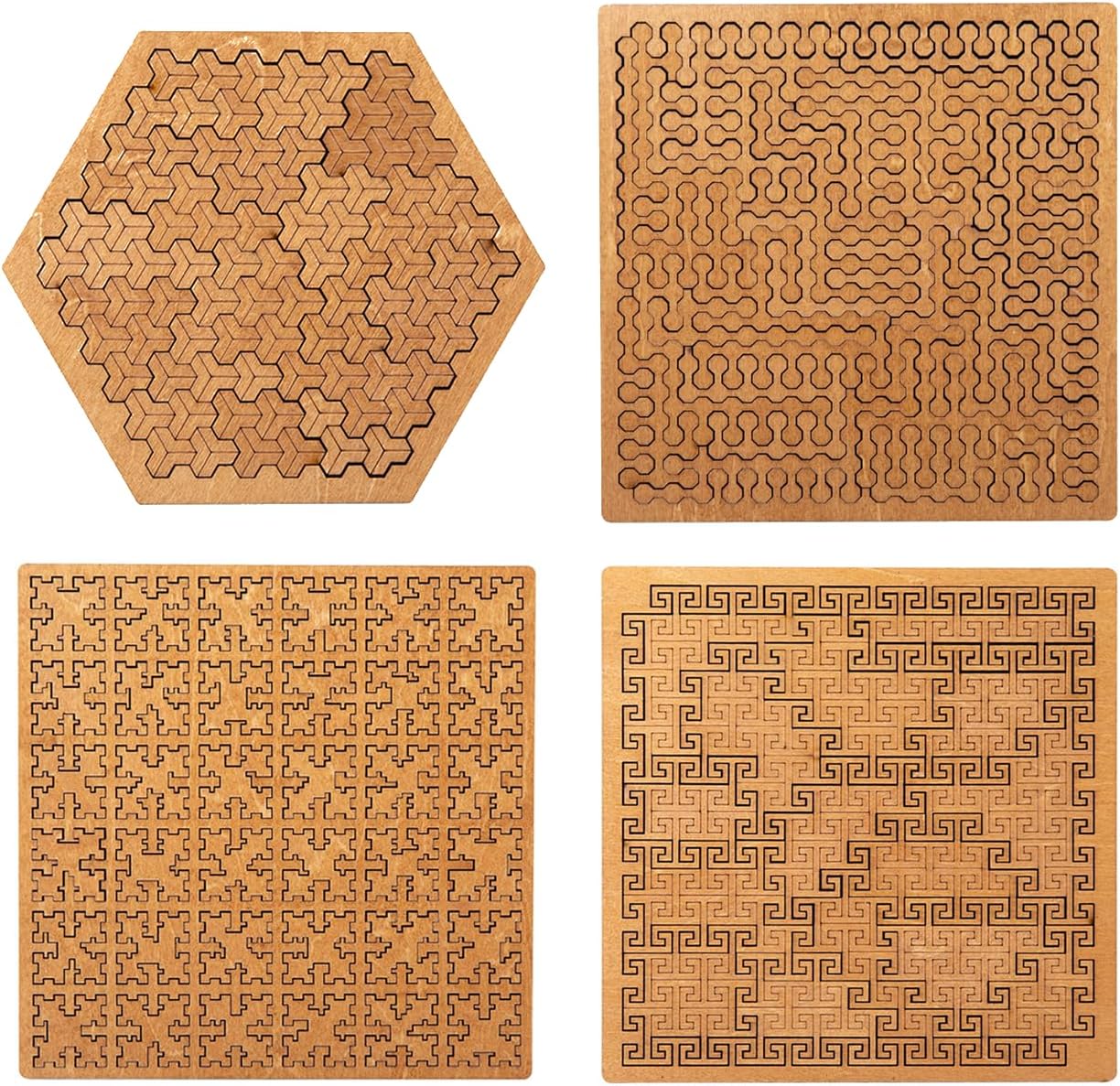 Fractal Tray Puzzles Adult Educational — WeirdThingsToBuy weird find