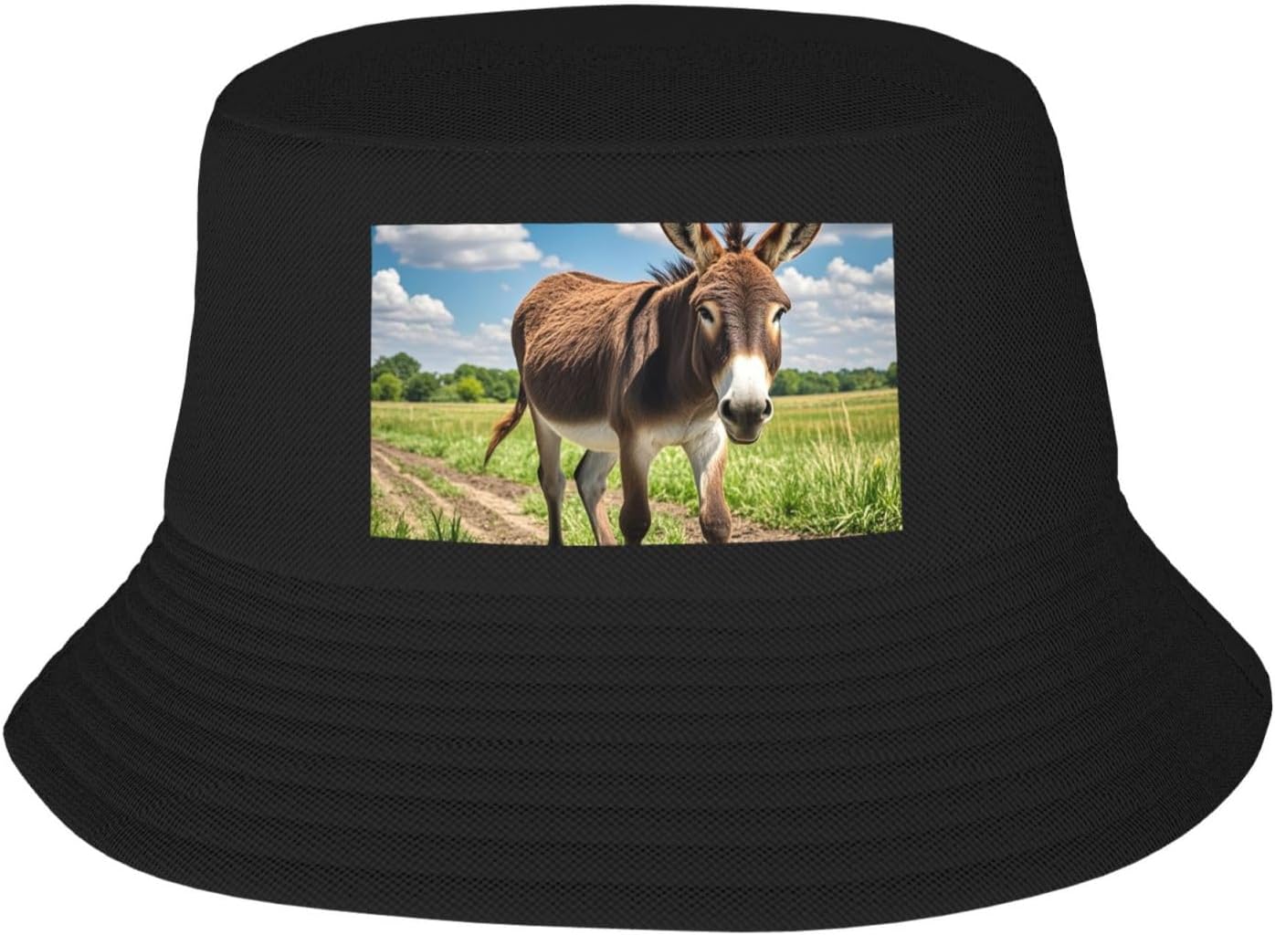 Funny Donkey 2 Sun Hats — WeirdThingsToBuy weird find