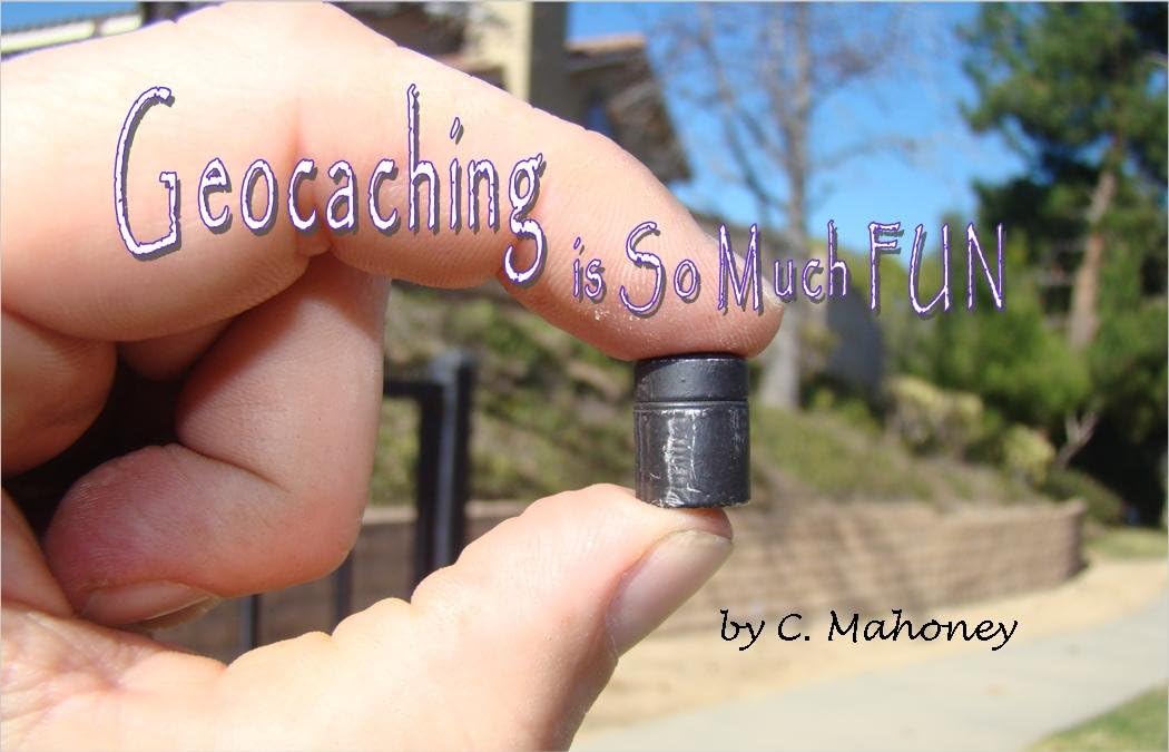 Geocaching is so Much Fun Situation — WeirdThingsToBuy weird find