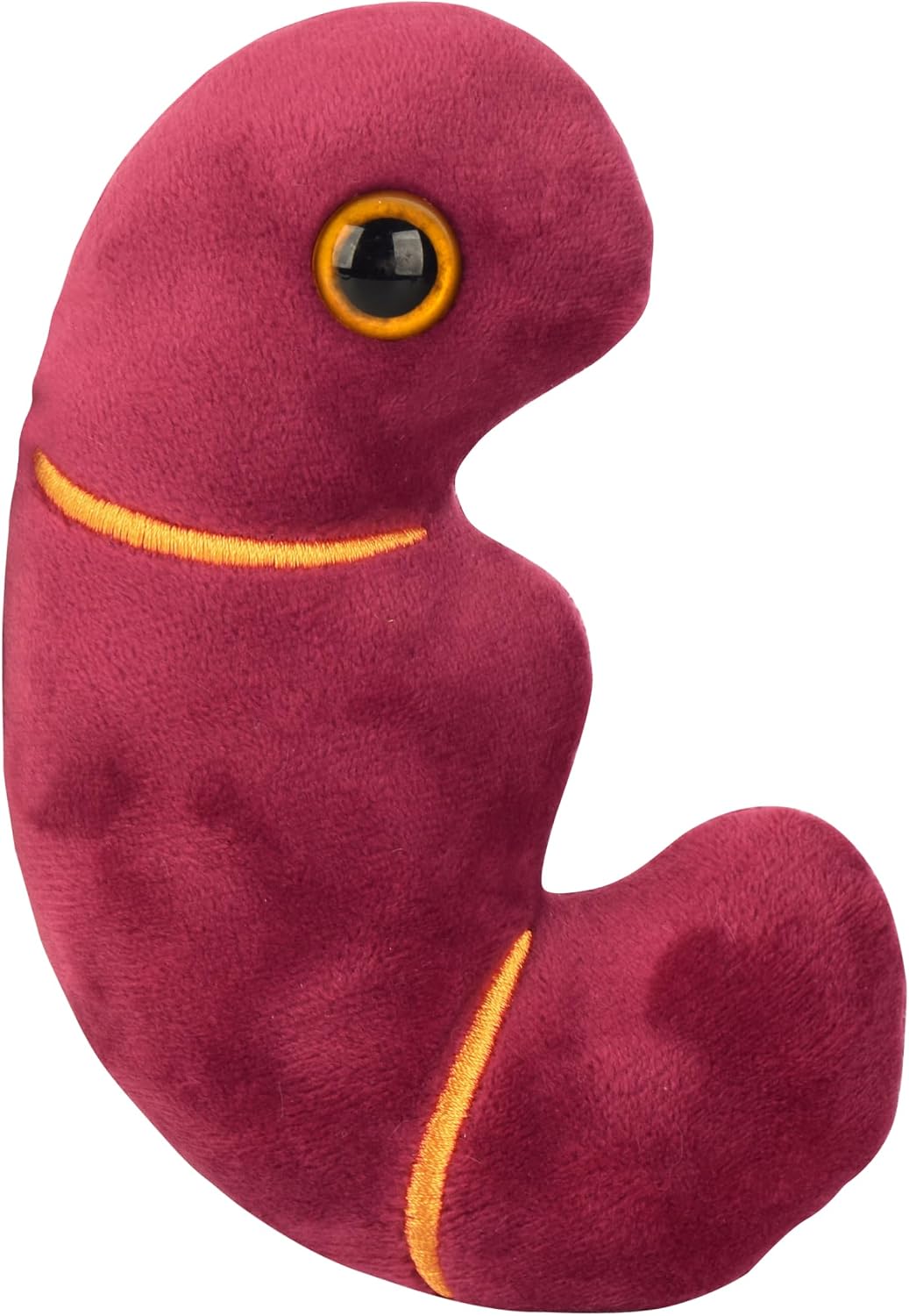 Giant Microbes Stuffed Kidney Plush — WeirdThingsToBuy weird find