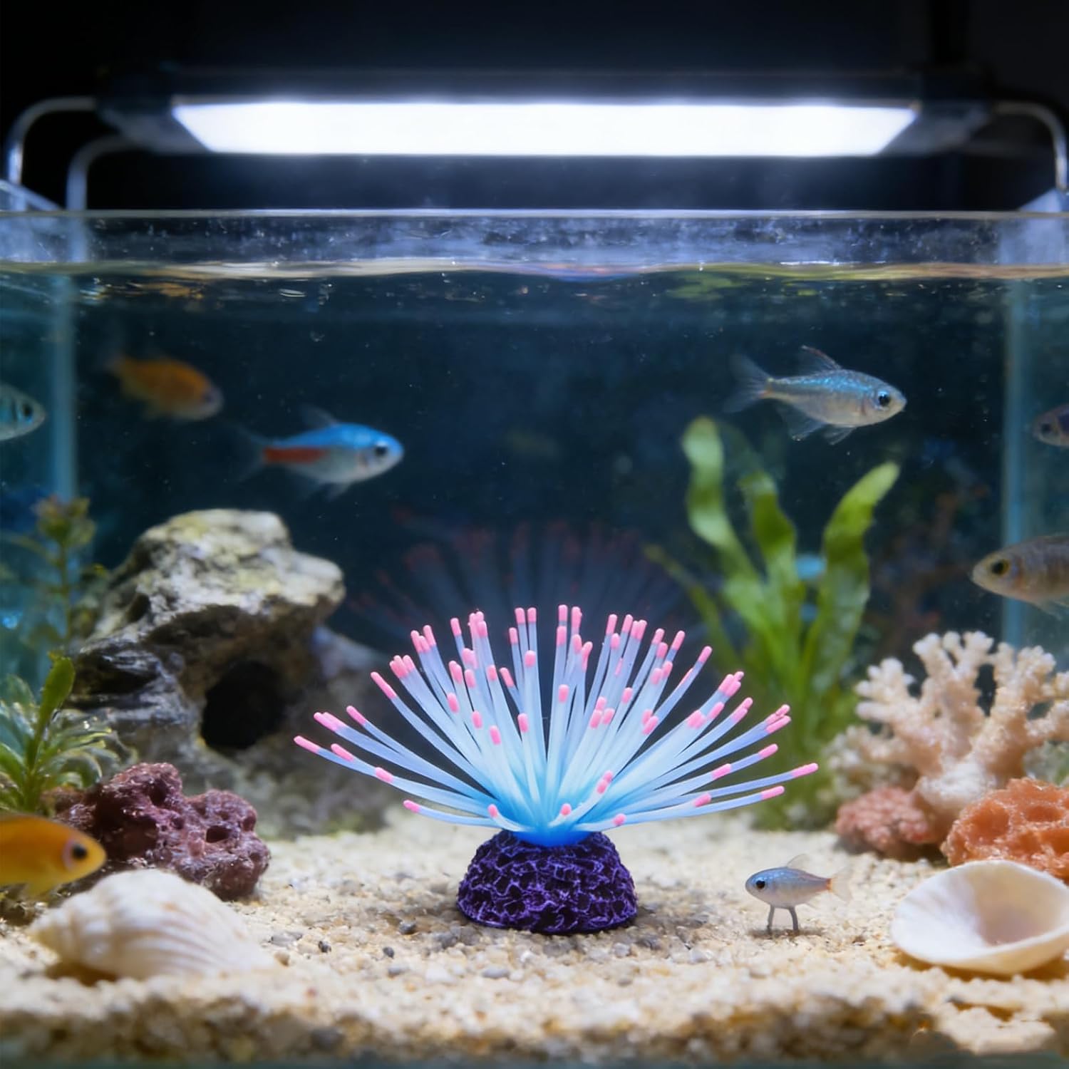 Glowing Sea Urchin Aquarium Decor — WeirdThingsToBuy weird find