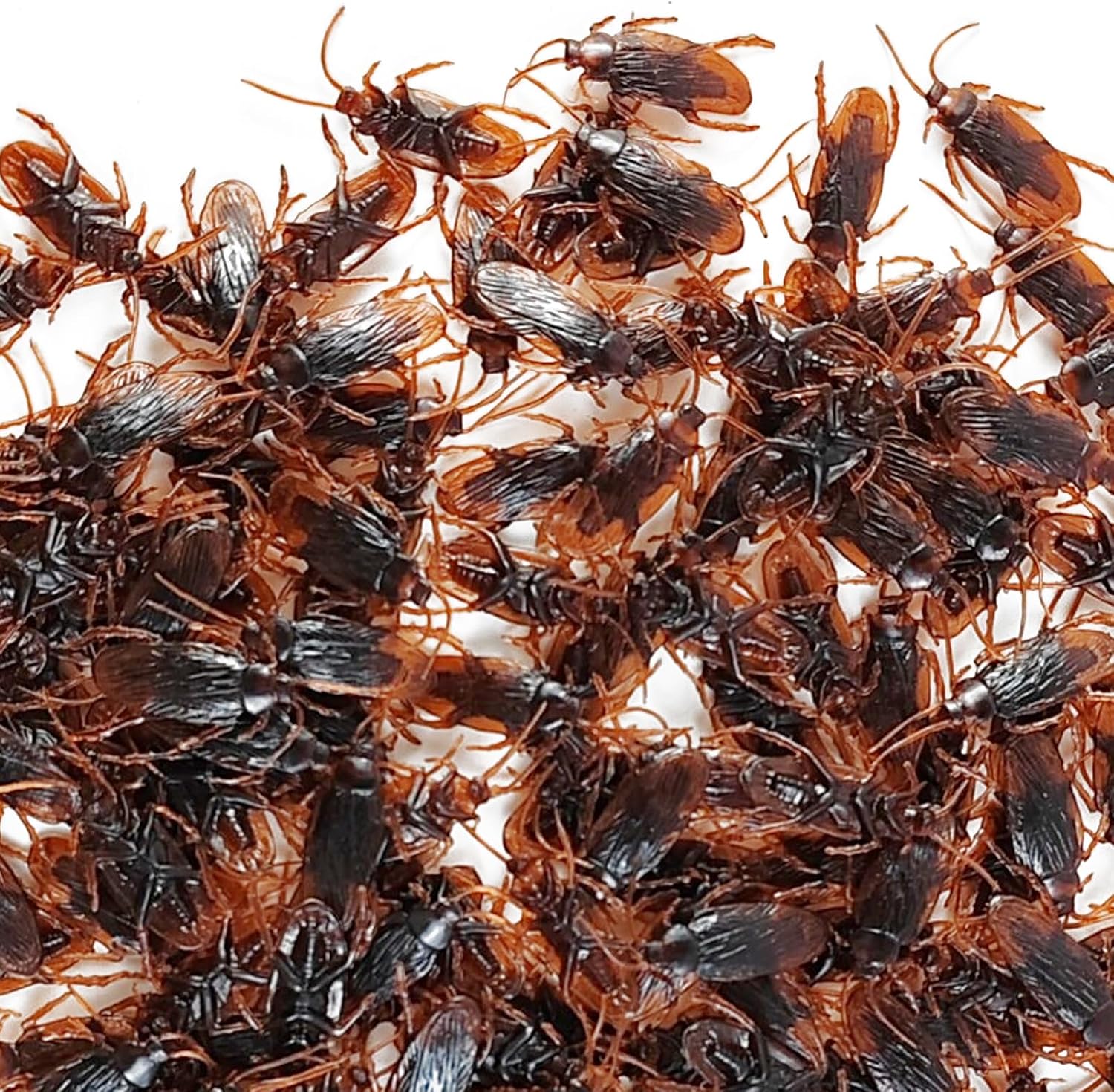Gxxmei 100pcs 1 77inch Fake Situation — WeirdThingsToBuy weird find