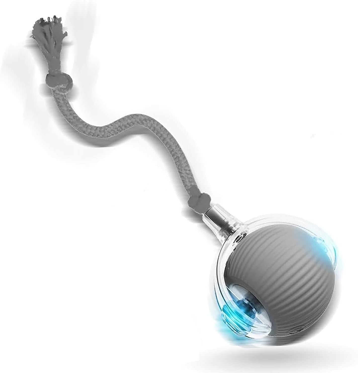 Interactive Rolling Dog Ball 360 — WeirdThingsToBuy weird find