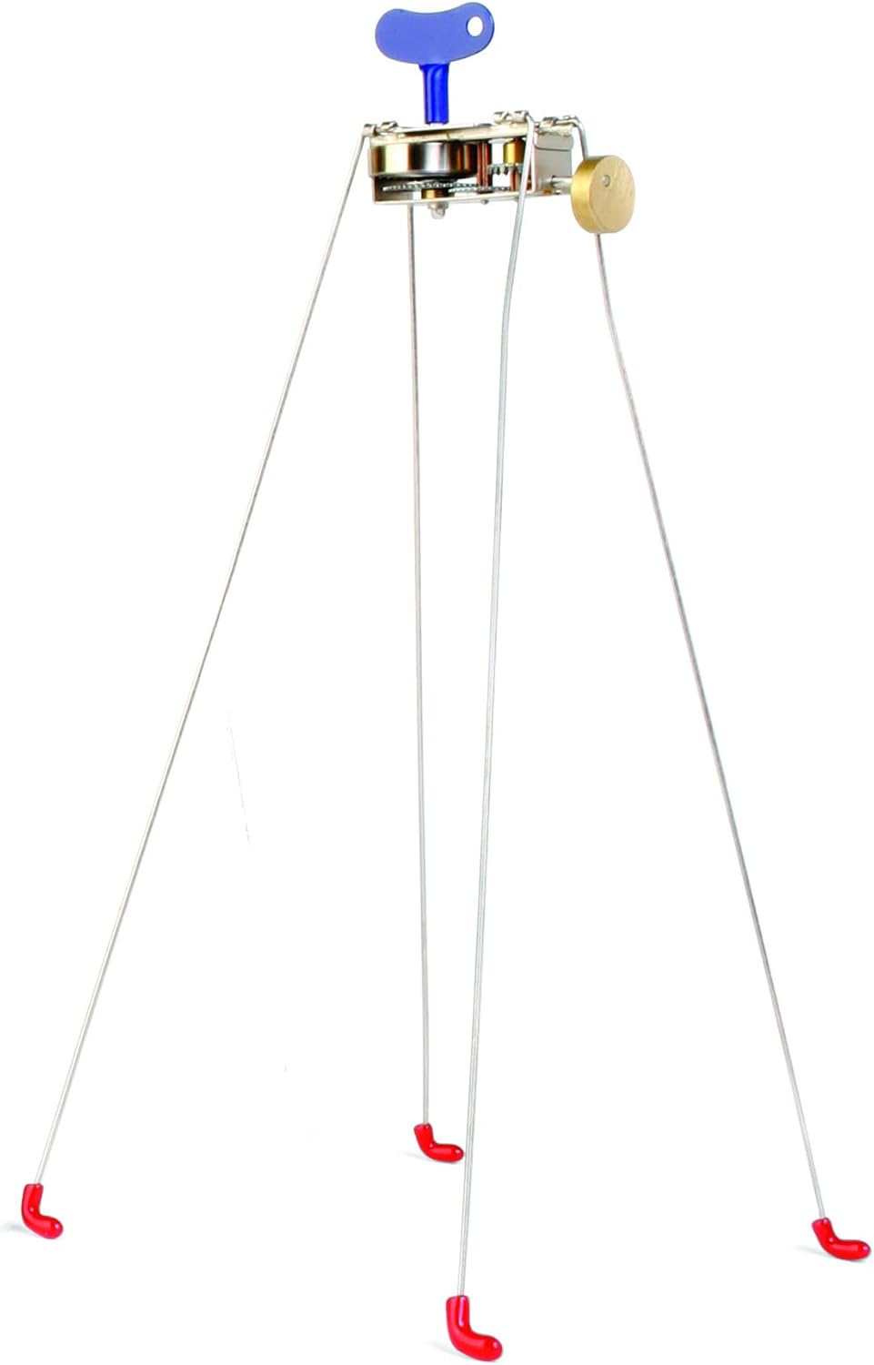 Kikkerland Windup Critter Situation — WeirdThingsToBuy weird find