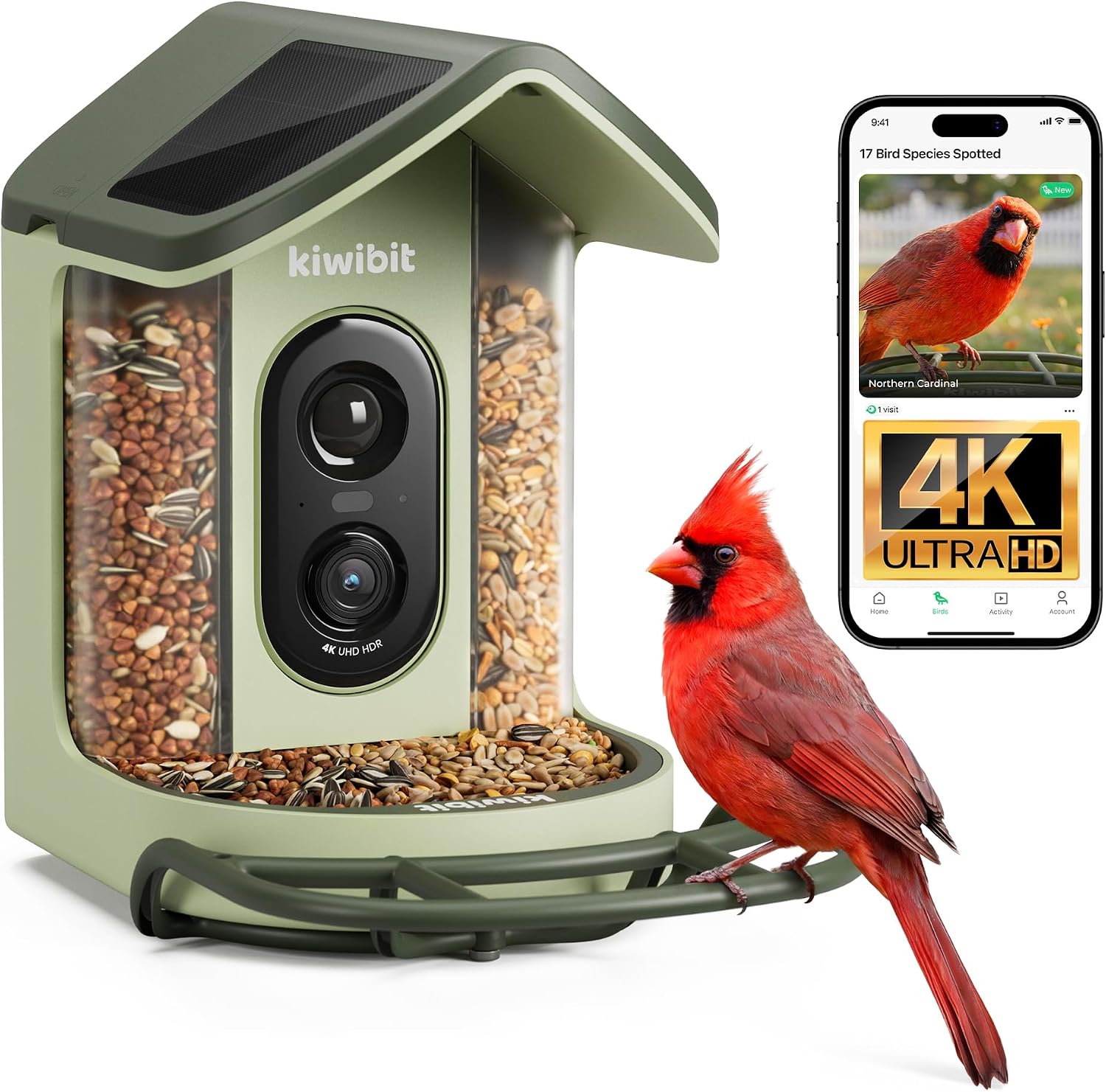 Kiwibit Solar Powered Smart Bird — WeirdThingsToBuy weird find