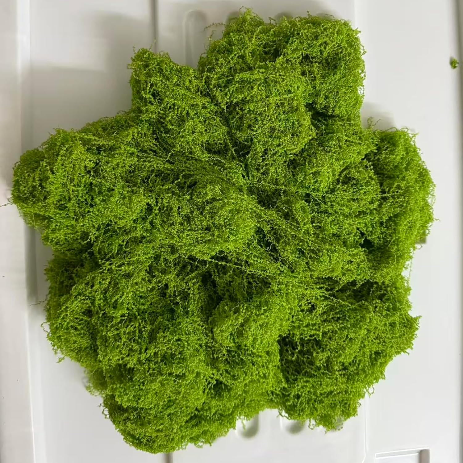 Koiywve Fake Green Moss Potted Energy — WeirdThingsToBuy weird find