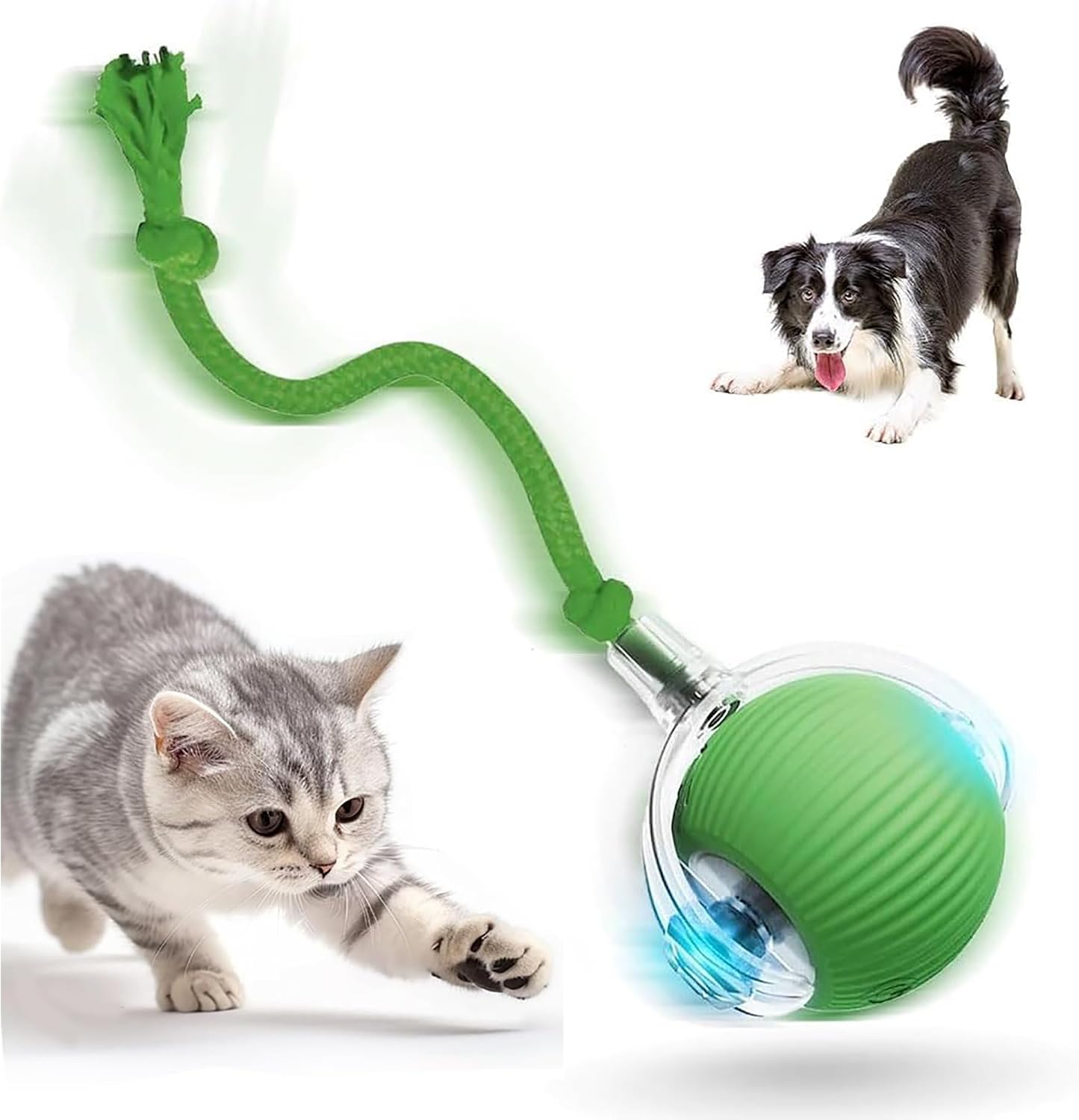 Legendary 2026 New Interactive Cat Toys — WeirdThingsToBuy weird find