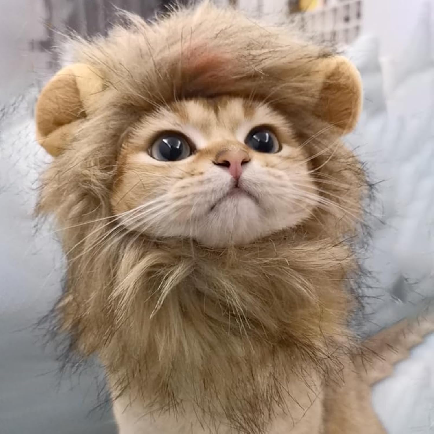 Legendary Adorable Lion Mane Costume Cat — WeirdThingsToBuy weird find