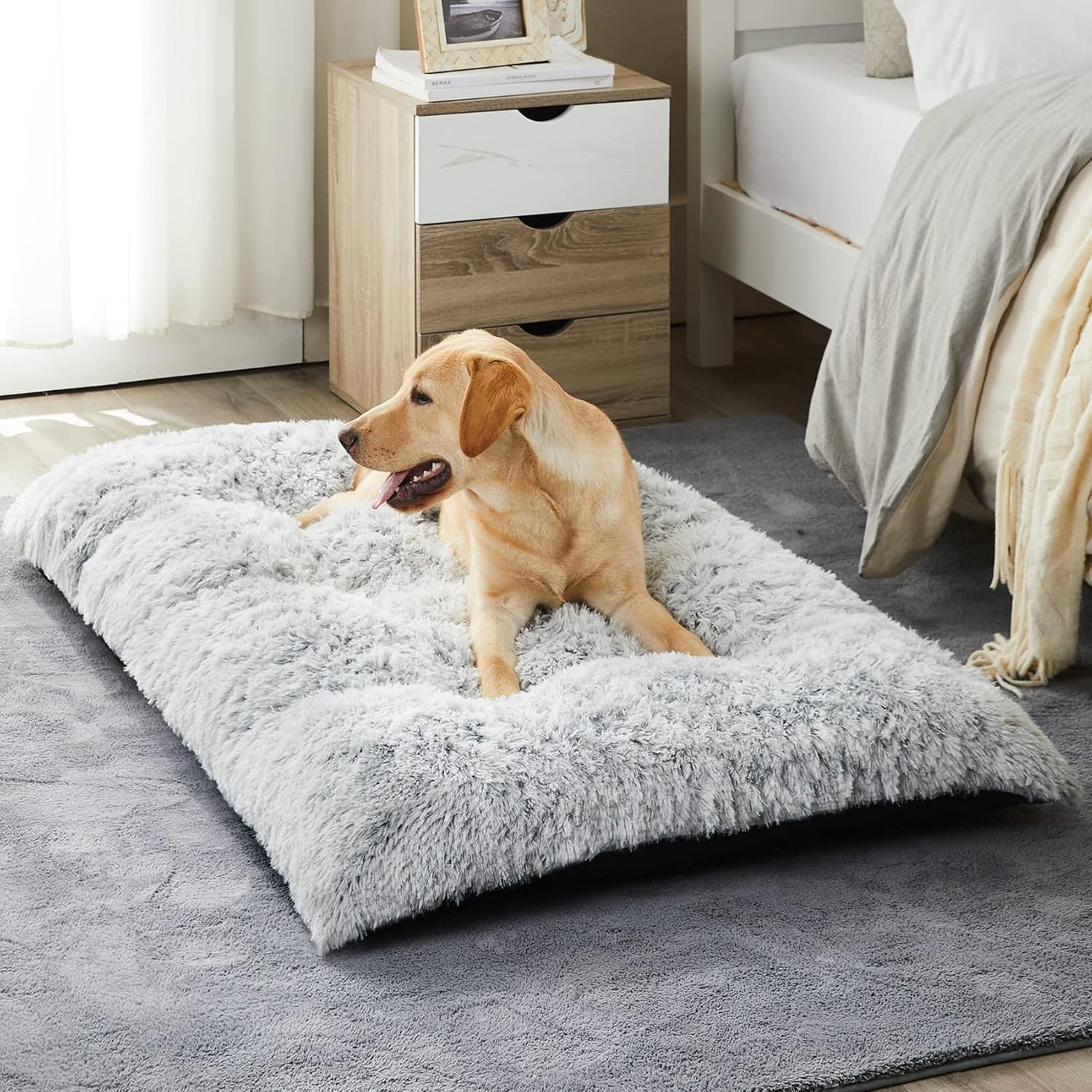 Legendary Bfpethome Dog Beds Large Dogs — WeirdThingsToBuy weird find