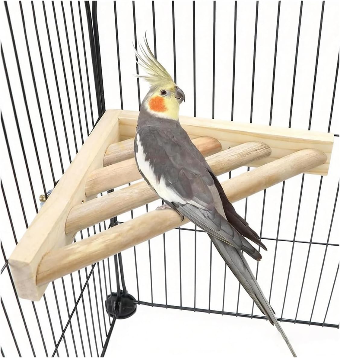 Legendary Bird Platform — WeirdThingsToBuy weird find