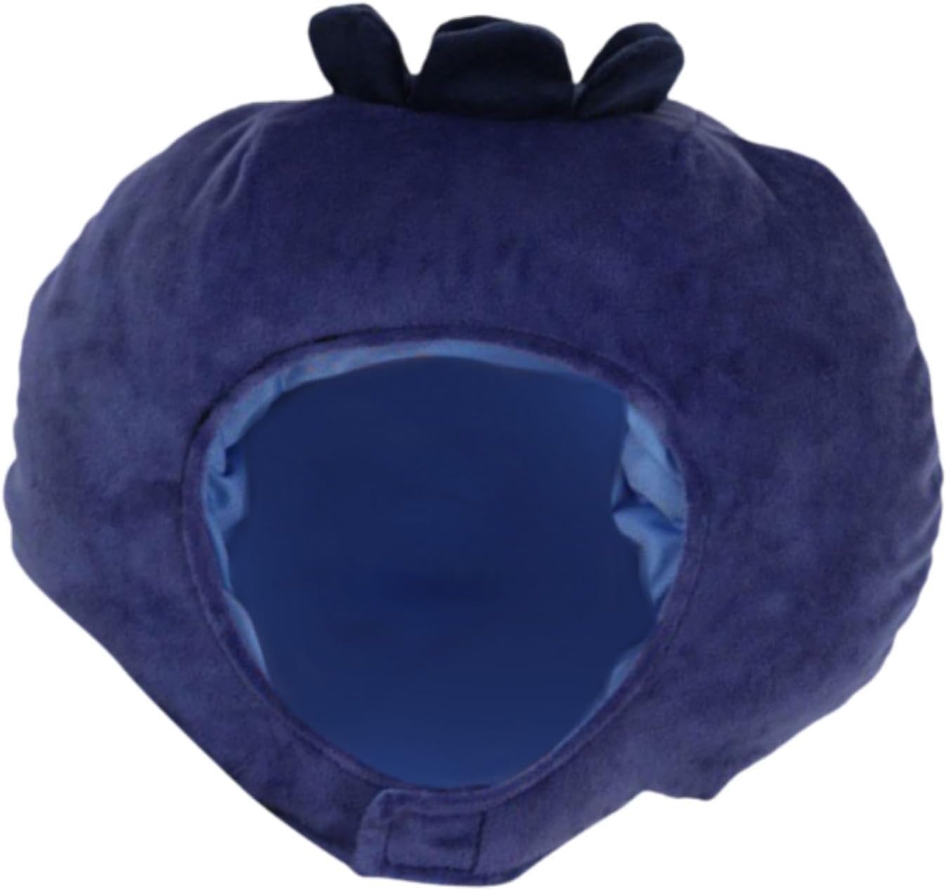 Legendary Blueberry Headgear Cartoon Fruit Hat — WeirdThingsToBuy weird find