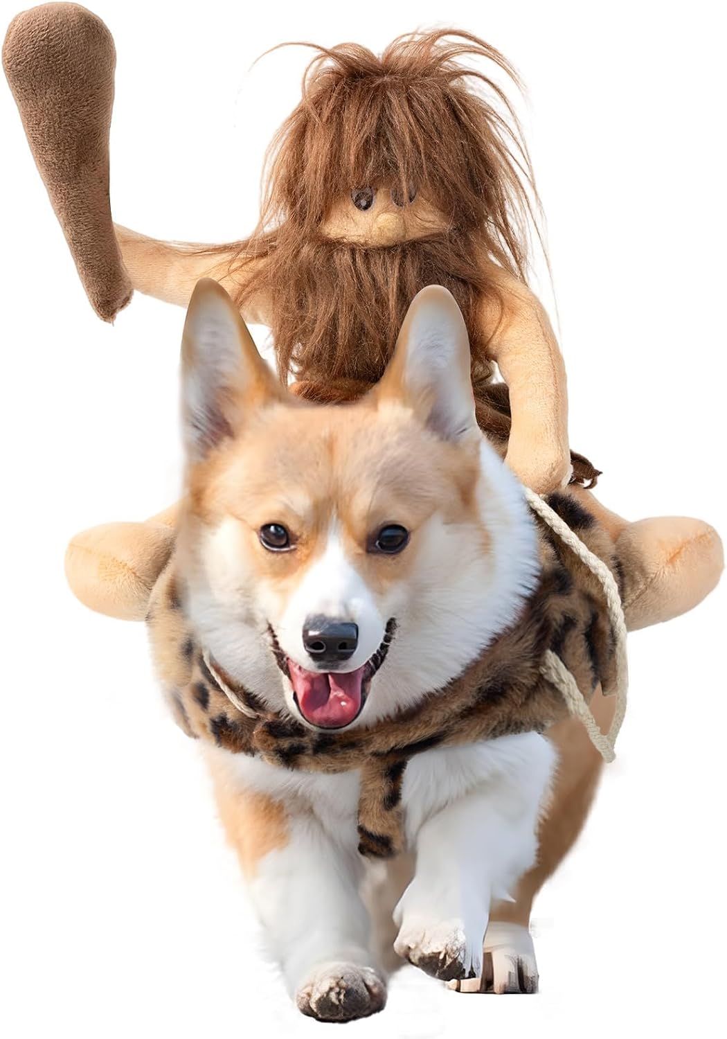 Legendary Delifur Dog Halloween Costume Funny — WeirdThingsToBuy weird find