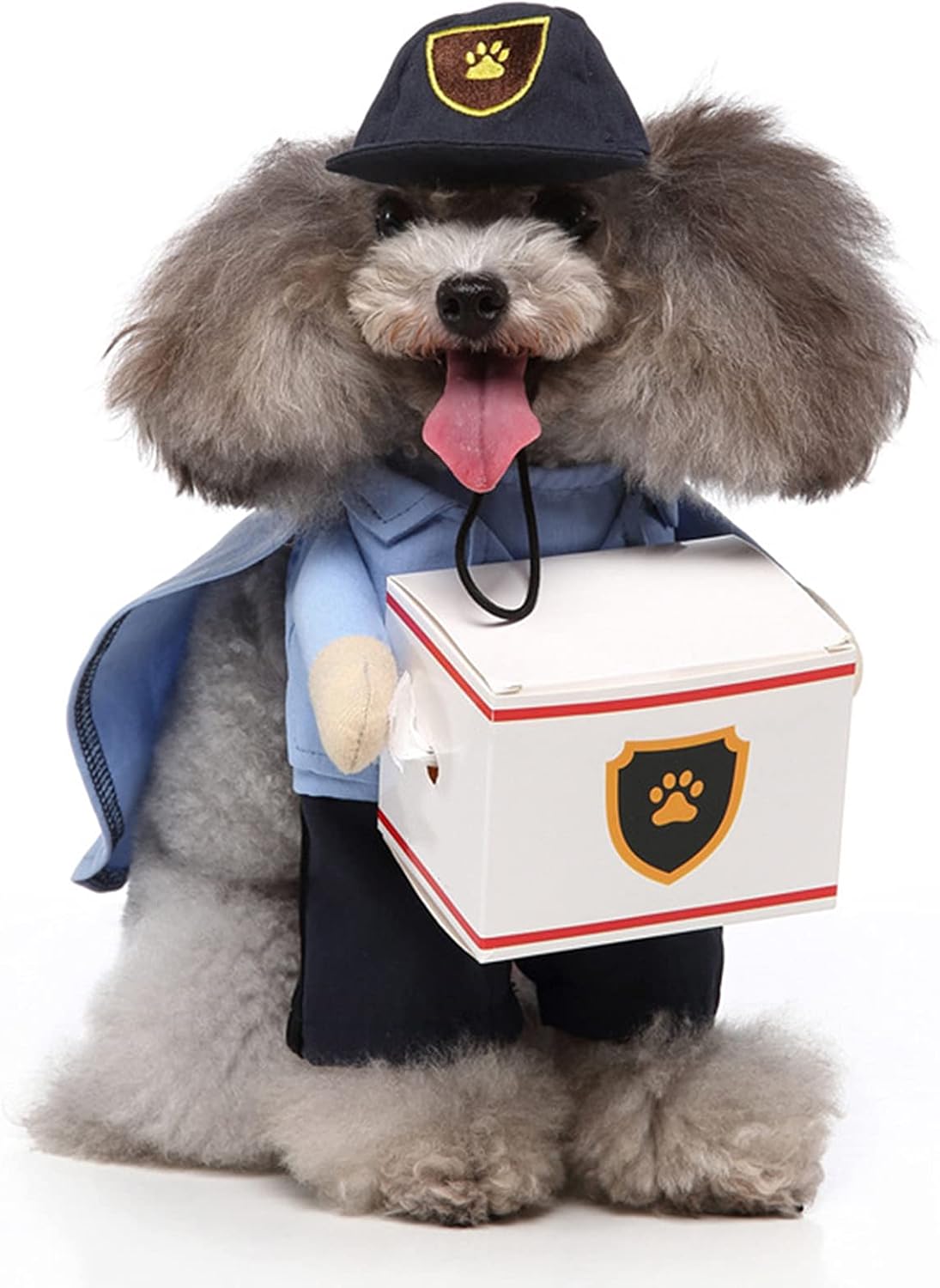 Legendary Dog Mail Carrier Costume Cute — WeirdThingsToBuy weird find