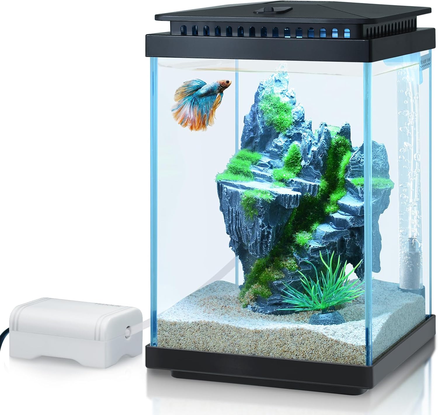 Legendary Fedour Small Glass Aquarium 1 — WeirdThingsToBuy weird find