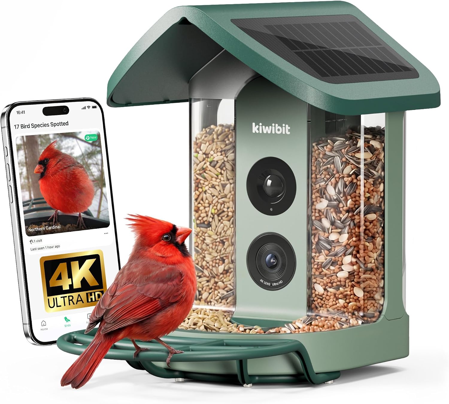 Legendary Kiwibit Solar Smart Bird Feeder — WeirdThingsToBuy weird find