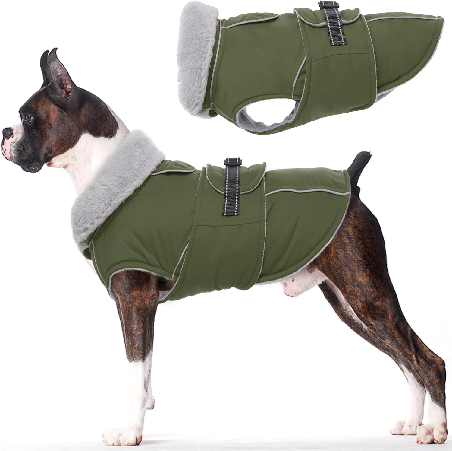 Legendary Lelepet Dog Coats Medium Dogs — WeirdThingsToBuy weird find