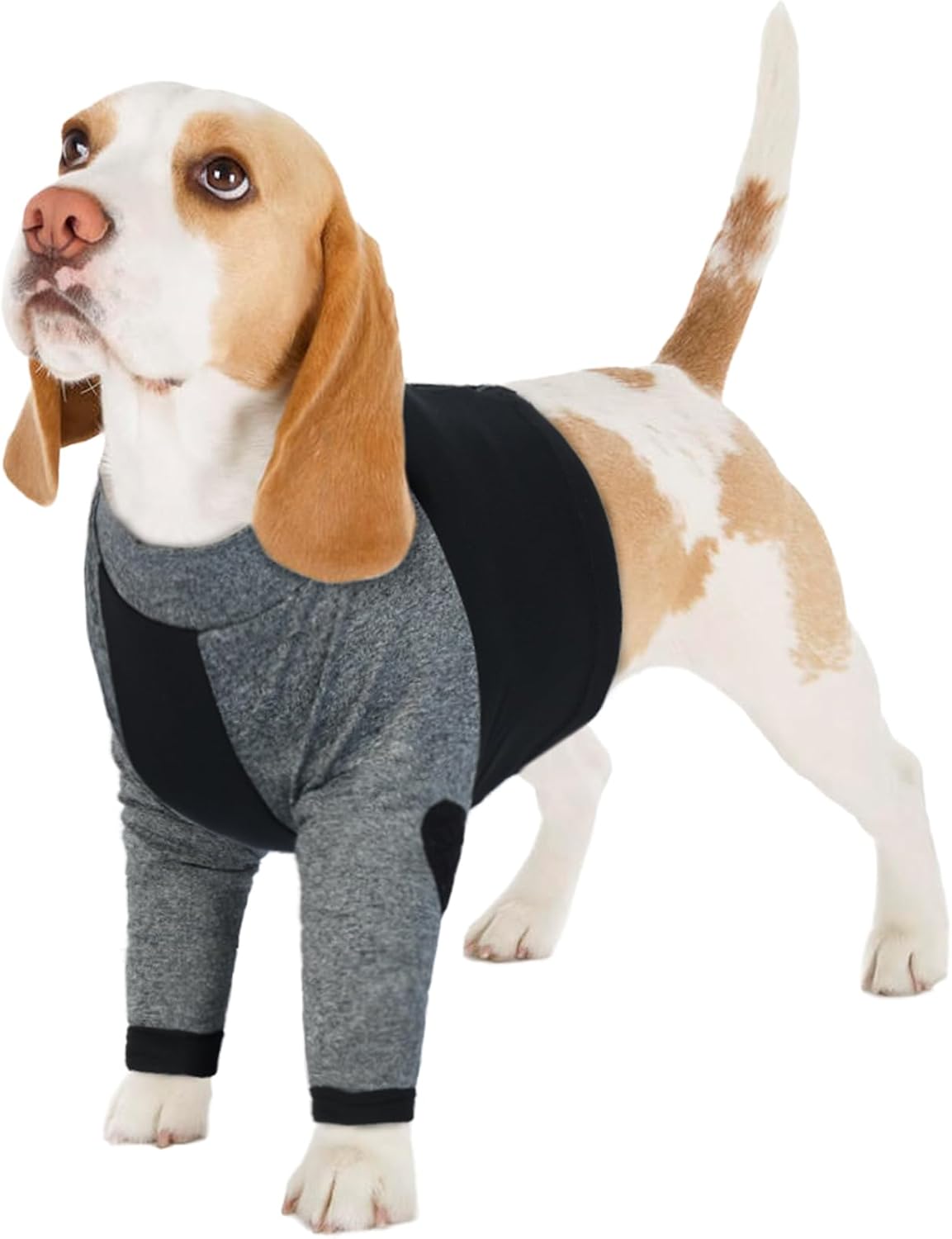 Legendary Lelepet Dog Recovery Suit Front — WeirdThingsToBuy weird find