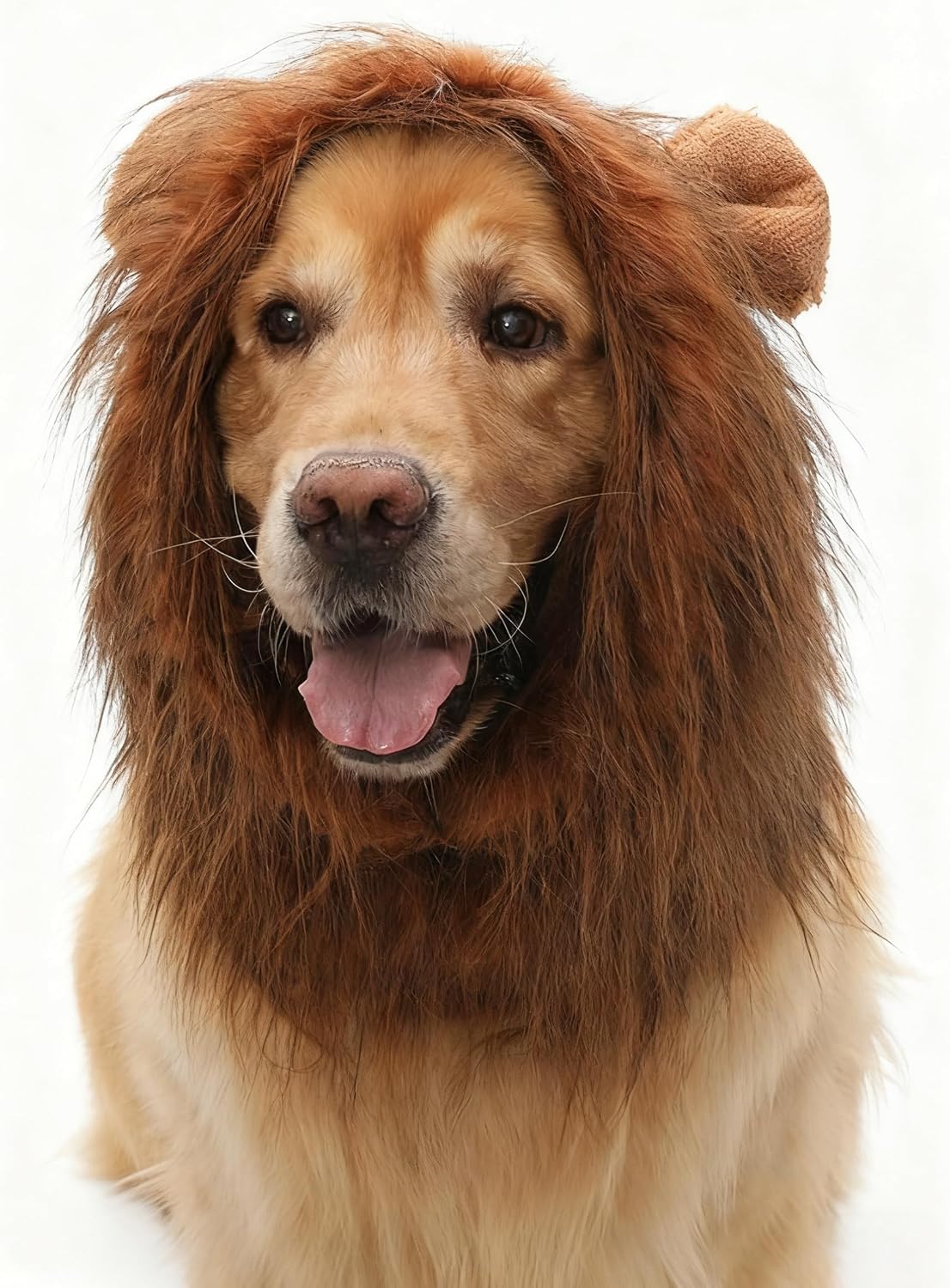 Legendary Small Dog Halloween Costumes Lifelike — WeirdThingsToBuy weird find
